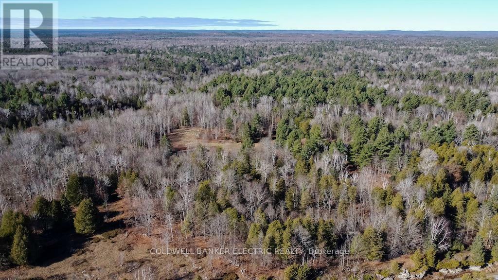 NORTH KAWARTHA, Ontario, K0L 1A0, CA, 3 Bedrooms Bedrooms, ,1 BathroomBathrooms,Residential,For Sale,1828258