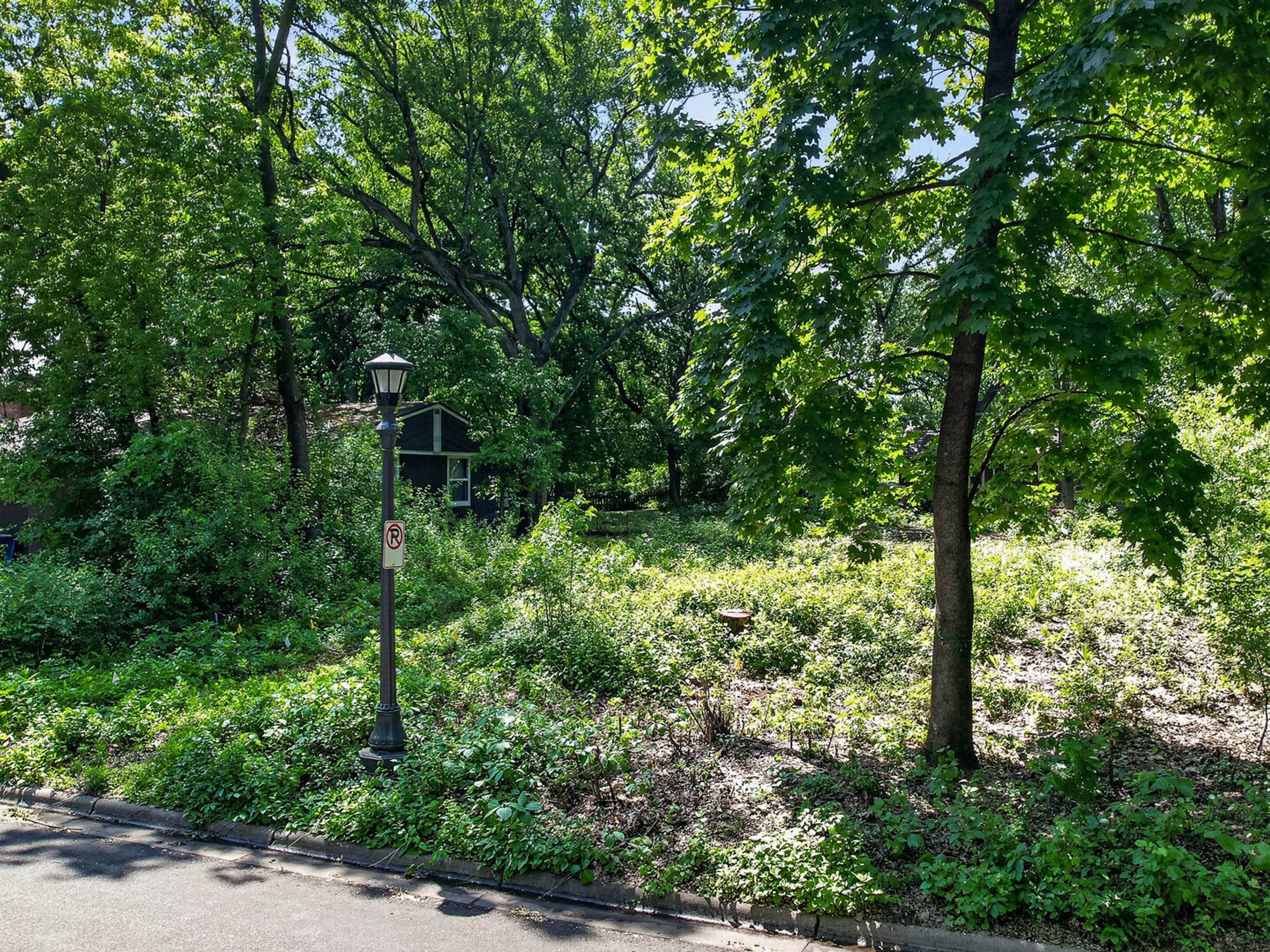  Rare Homesite in St. Anthony Park - 物件實景