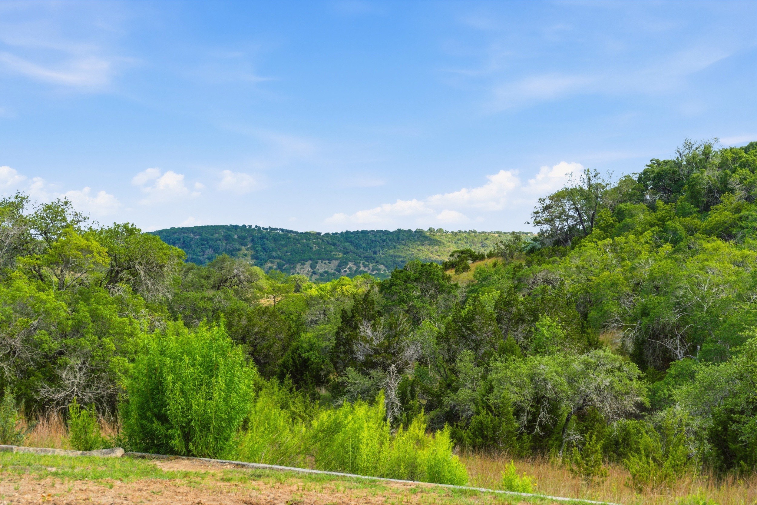  72+/- Acre Palmetto Creek Ranch - 物件實景
