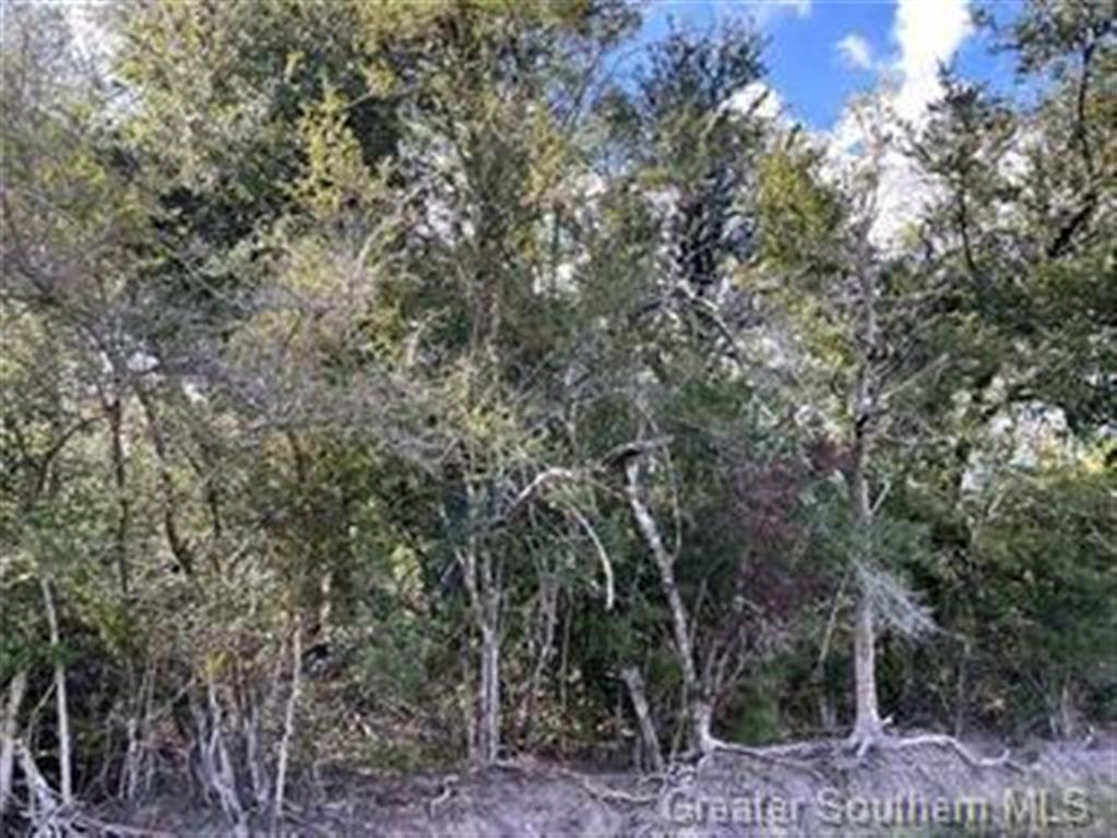 Lake Charles, Louisiana, 70605, United States, ,Land,For Sale,1975596