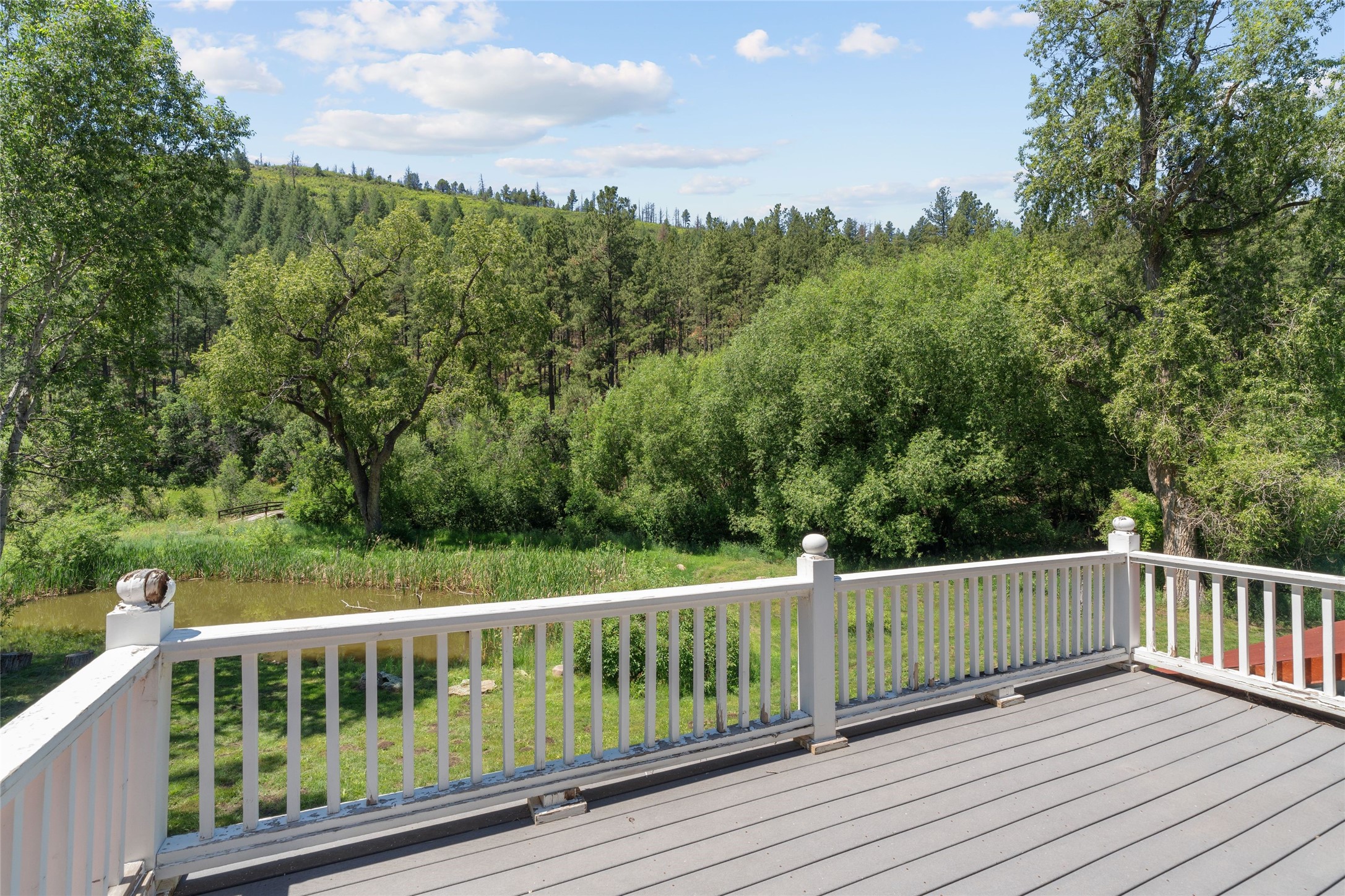  997 New Mexico Highway 65 - Rio de Vega Ranch - 物件實景