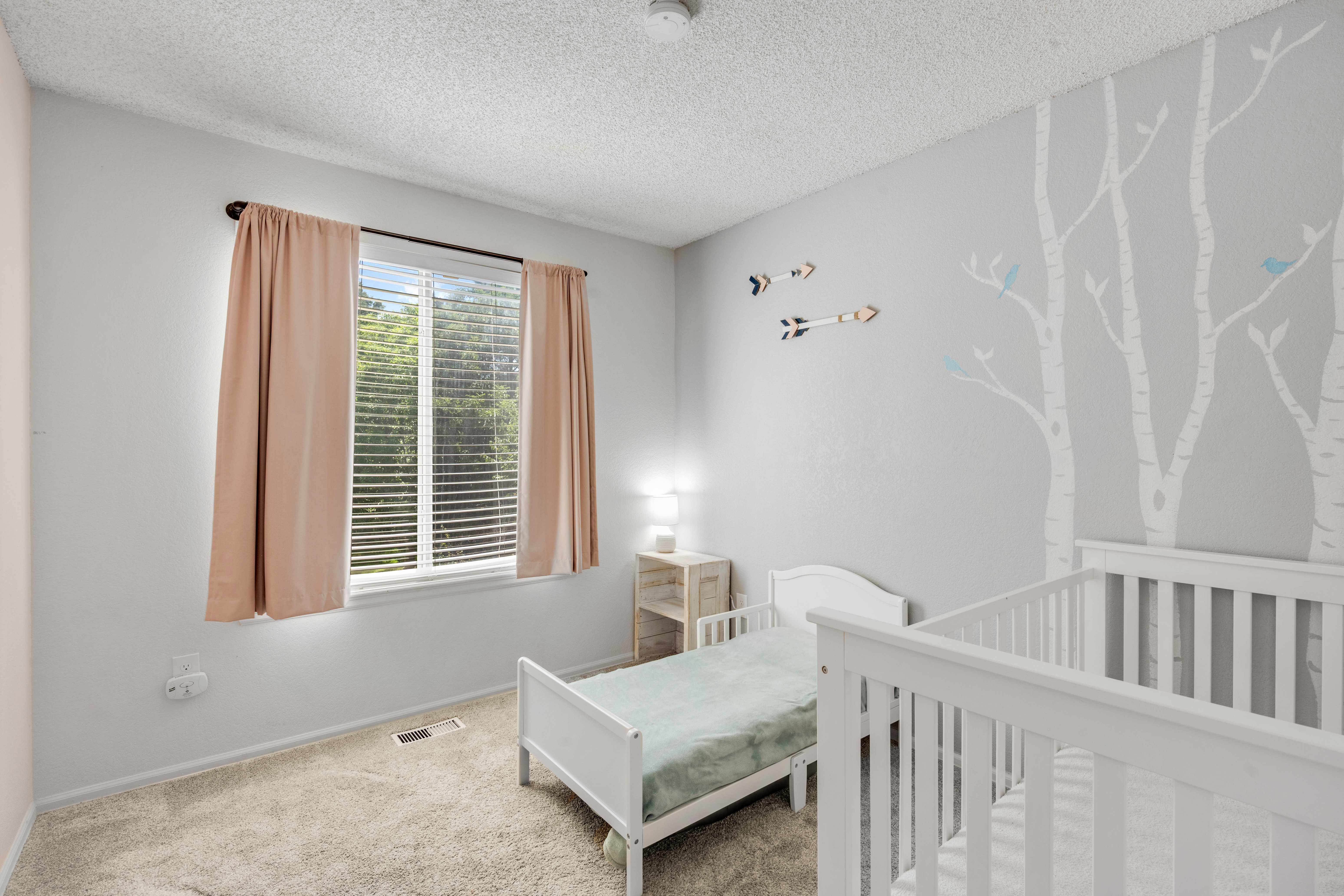  9352 Balsam Court, Highlands Ranch, CO, 80126 - 物件實景