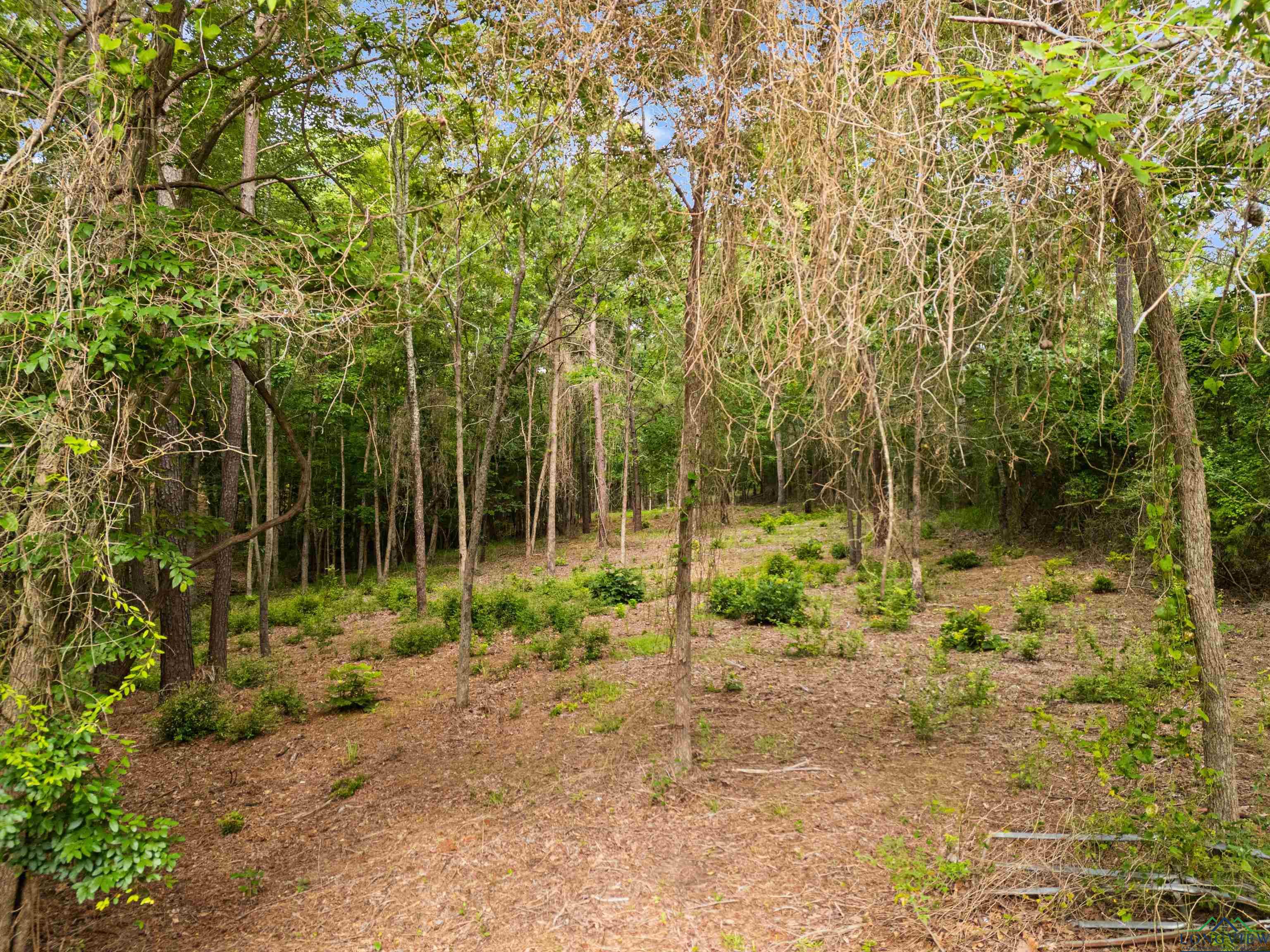 Longview, Texas, 75605, United States, ,Land,For Sale,1846735