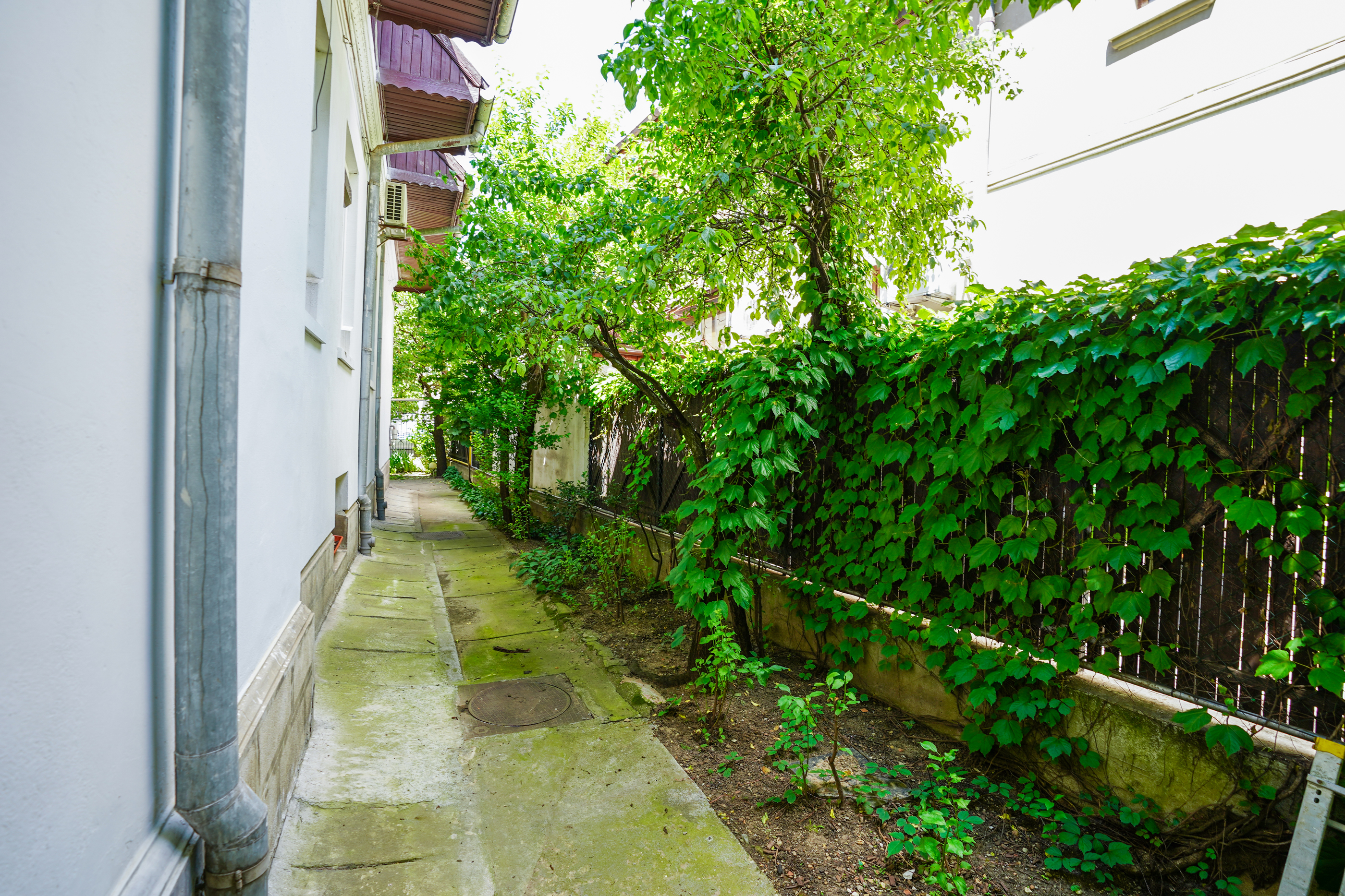  Authentic Interwar Villa with Original Features in Dorobani - Capitale - 物件實景