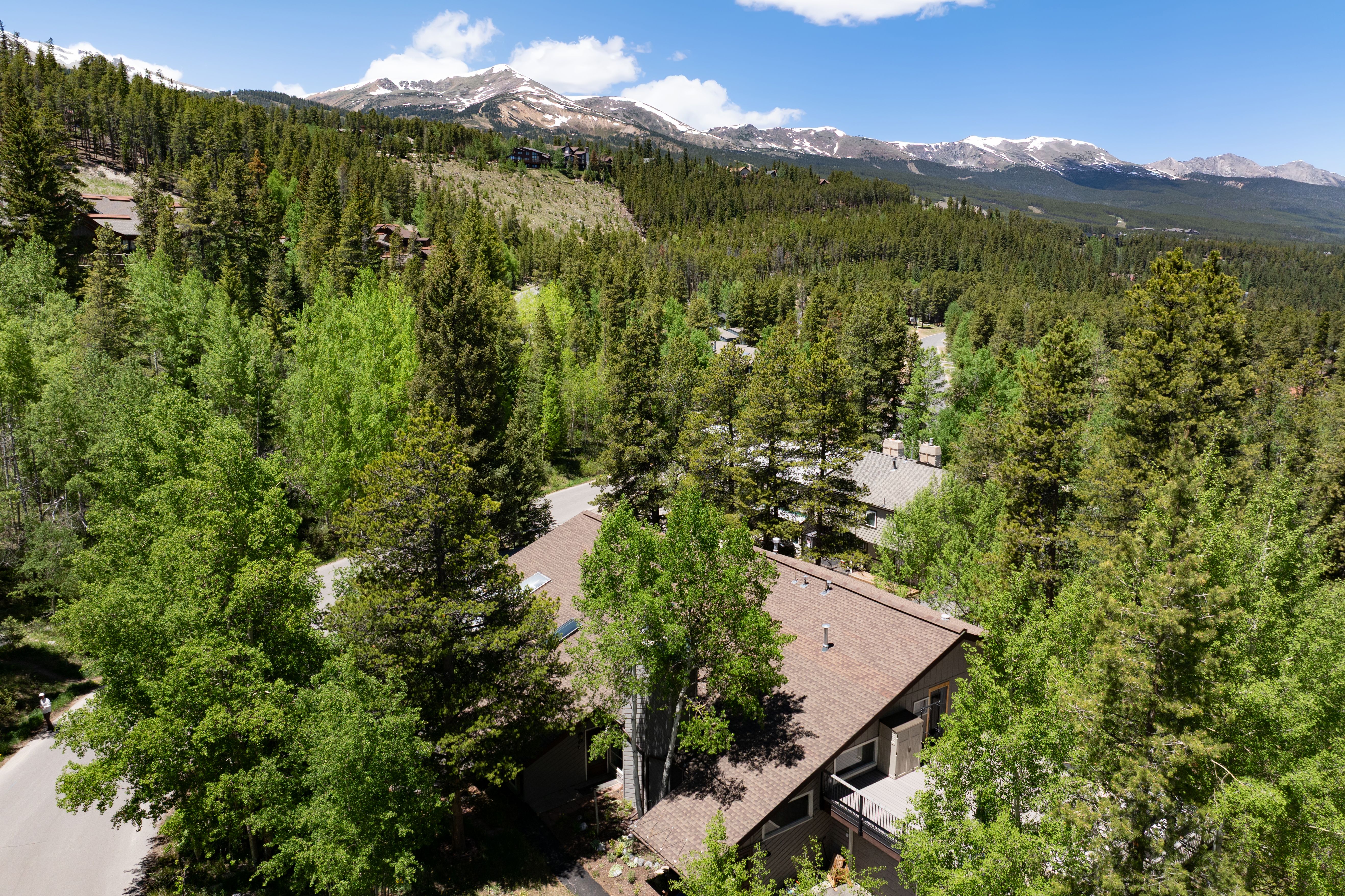  87 Flintstone Lane, Breckenridge, CO, 80424 - 物件實景
