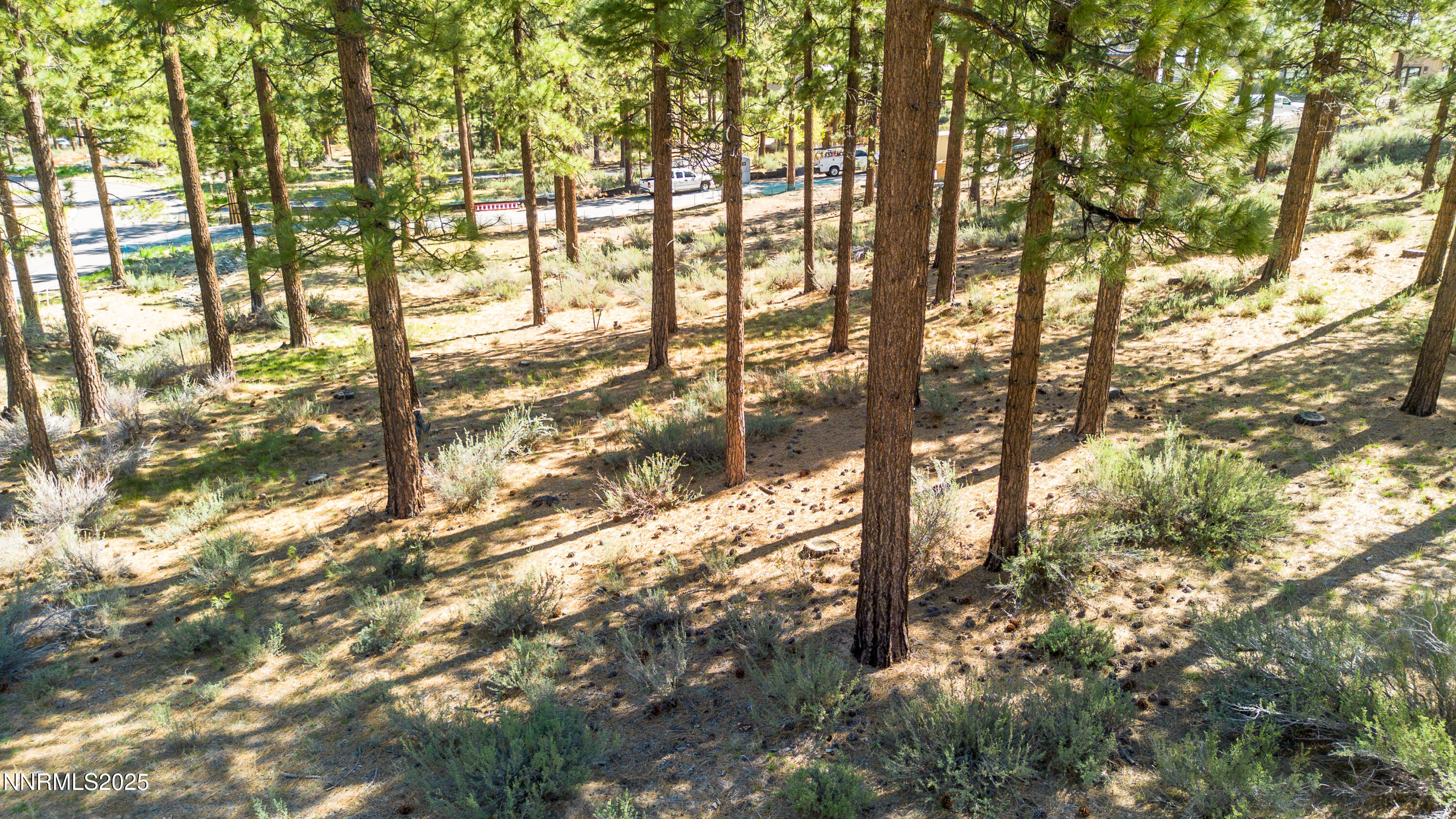 Carson City, Nevada, 89705, United States, ,Land,For Sale,1846834