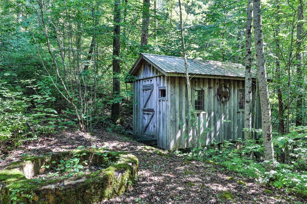 Cherry Log, Georgia, 30522, United States, ,Land,For Sale,1858995
