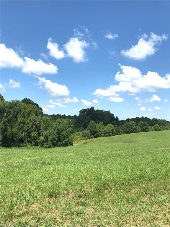 Lexington, North Carolina, 27295, United States, ,Land,For Sale,1940360