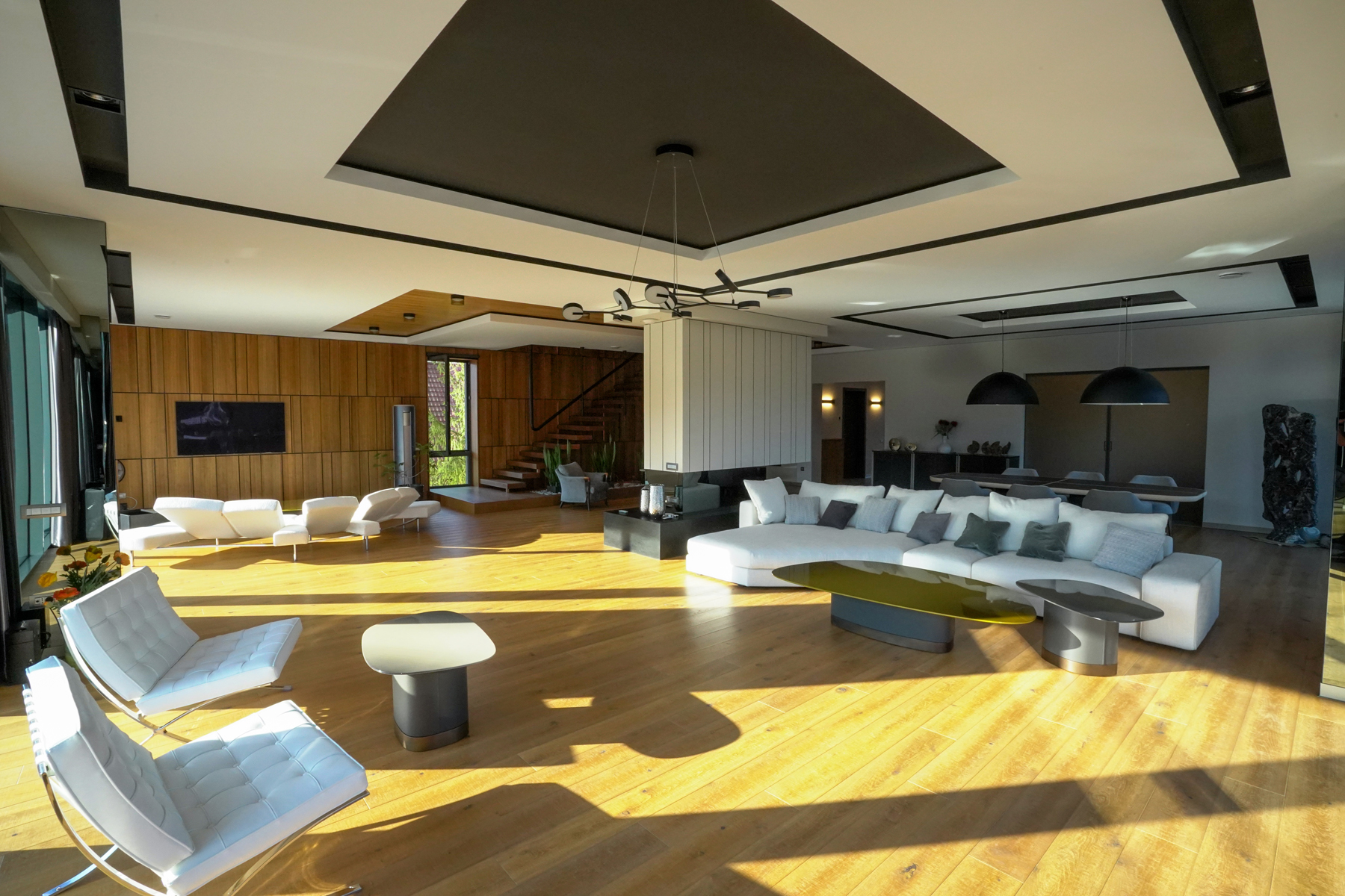 Hollywood Lifestyle in the Most Exclusive Area of Braov - 物件實景