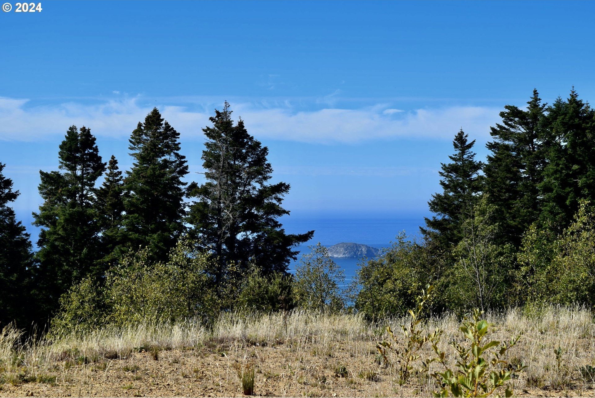 Port Orford, Oregon, 97465, United States, ,Land,For Sale,1977705