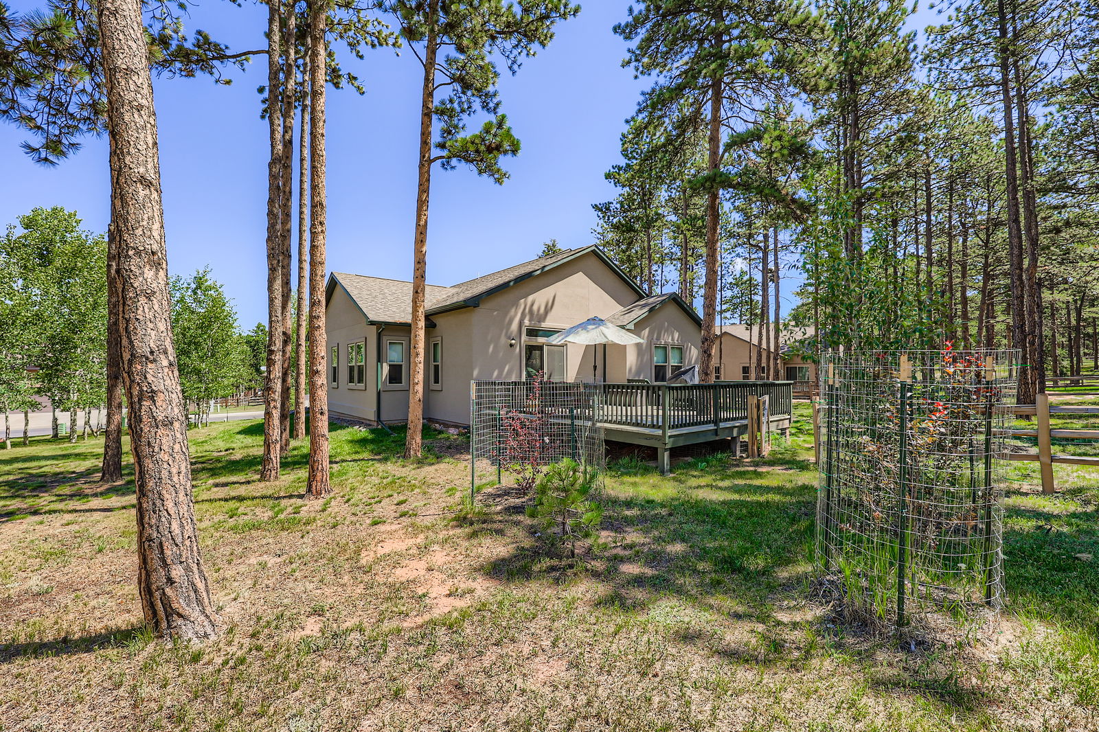 Woodland Park, Colorado, 80863, United States, 3 Bedrooms Bedrooms, ,2 BathroomsBathrooms,Residential,For Sale,1908938