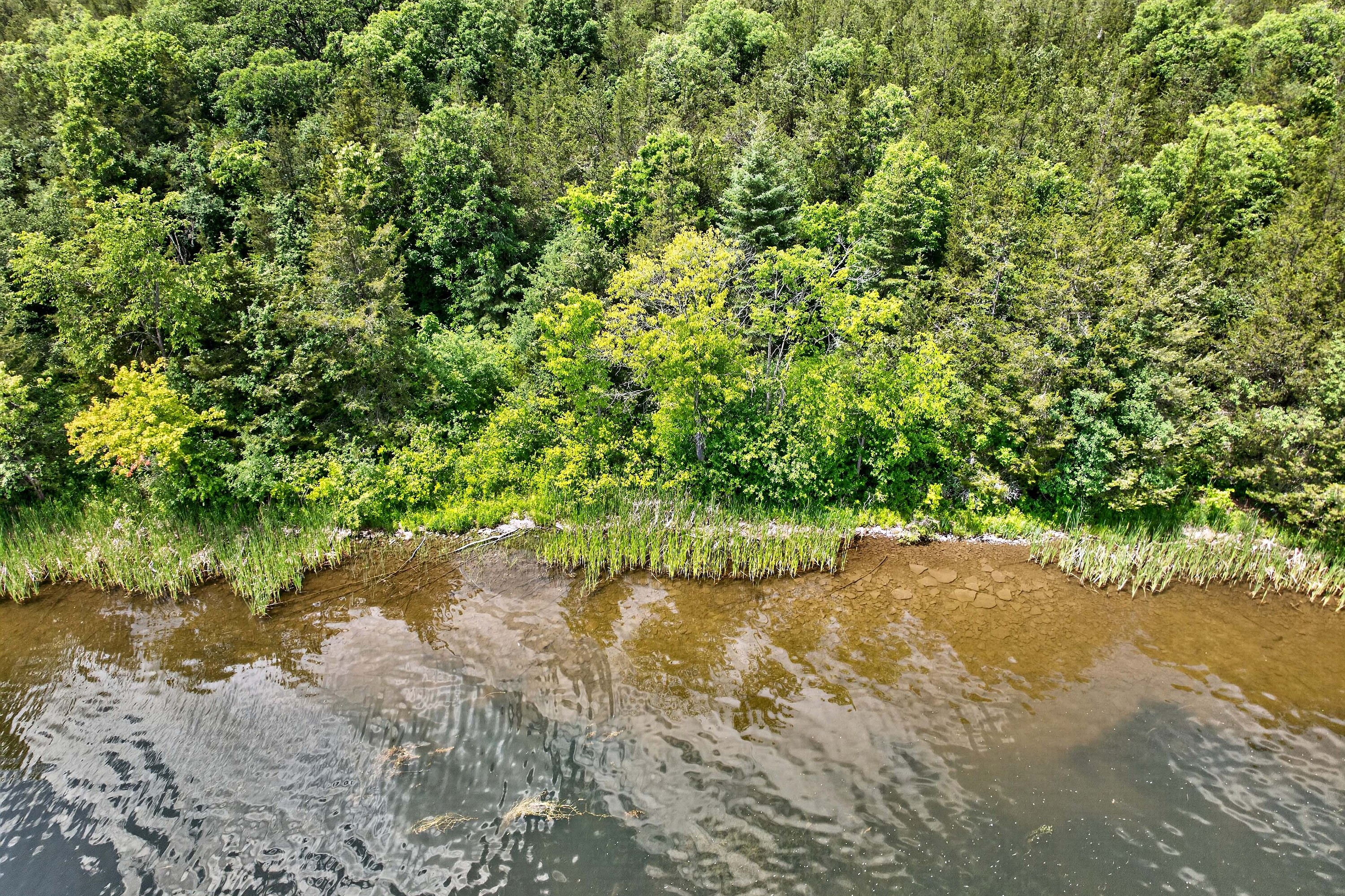  Trent Hills, Eastern Ontario - 物件實景