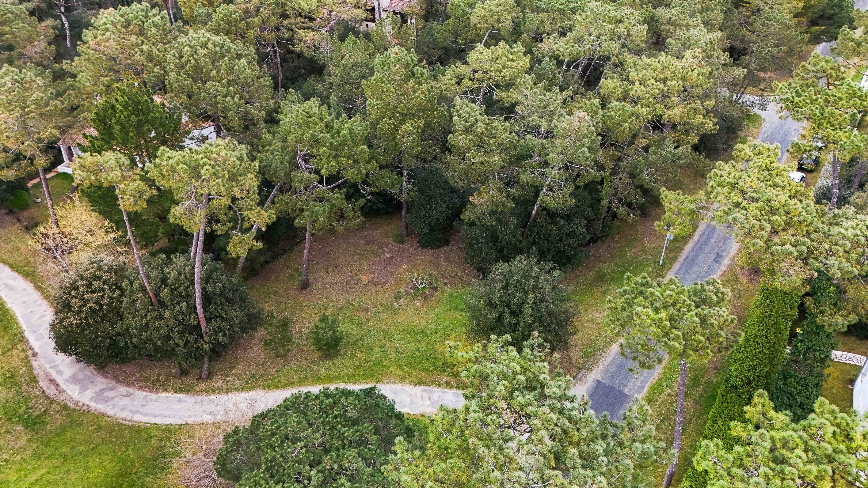 EXCEPTIONAL 1550 SQM PLOT PARK OF THE PALMYRE RESIDENCE - 物件實景
