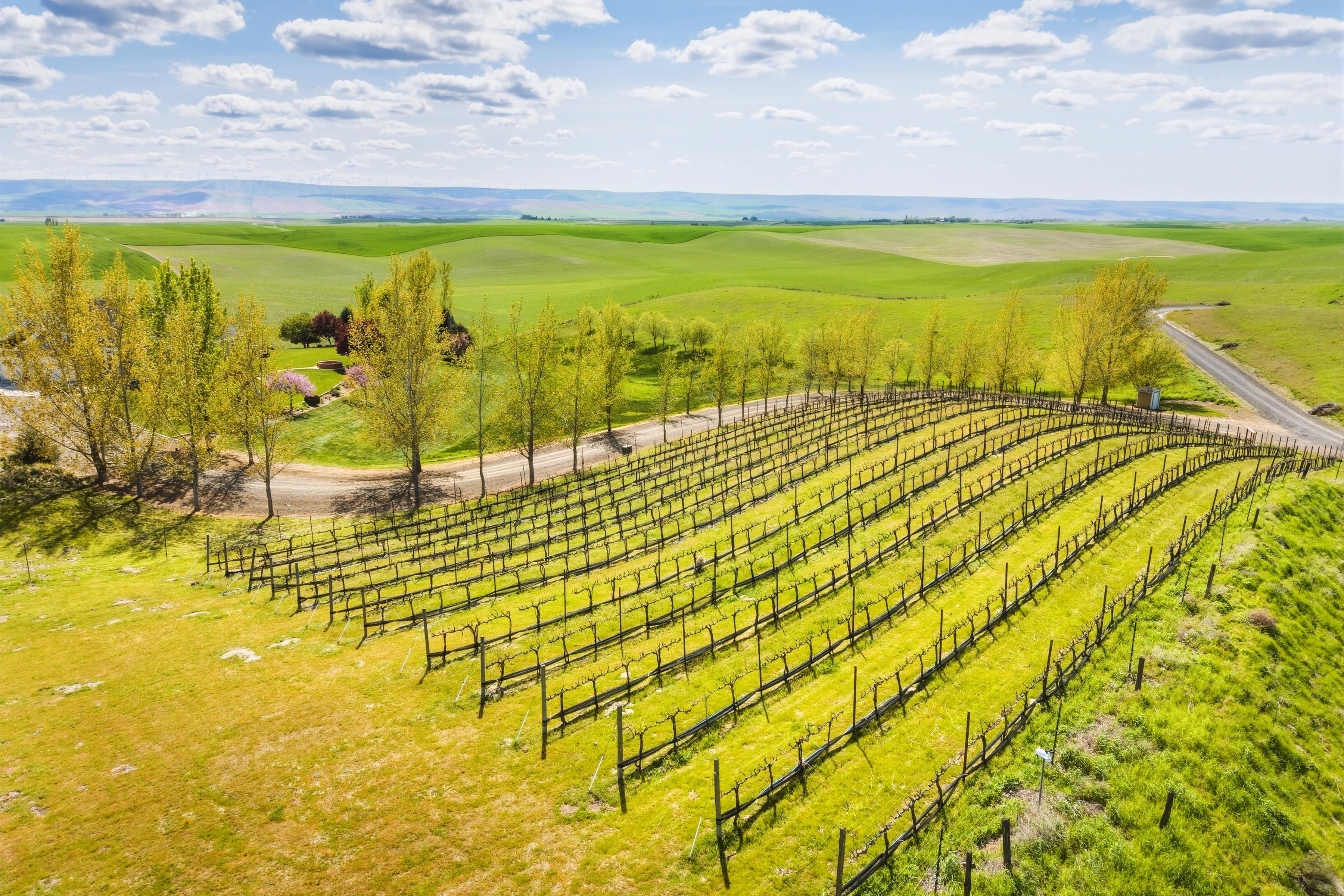  167 Rawhide Lane - 物件實景