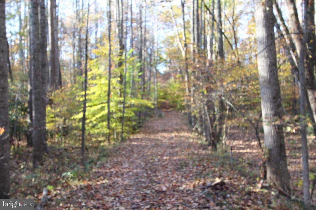 Fredericksburg, Virginia, 22406, United States, ,Residential,For Sale,1935241