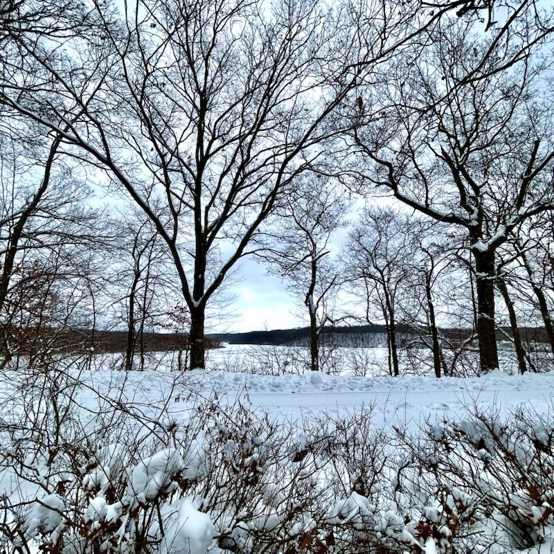 Lowell, Michigan, 49331, United States, 2 Bedrooms Bedrooms, ,2 BathroomsBathrooms,Residential,For Sale,1987591