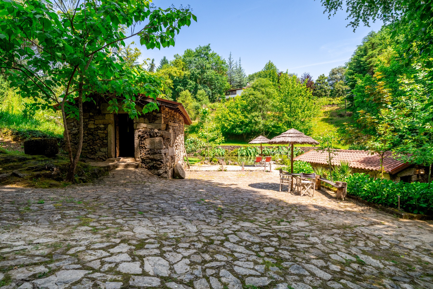  Farm, 8 bedrooms, for Sale - 物件實景
