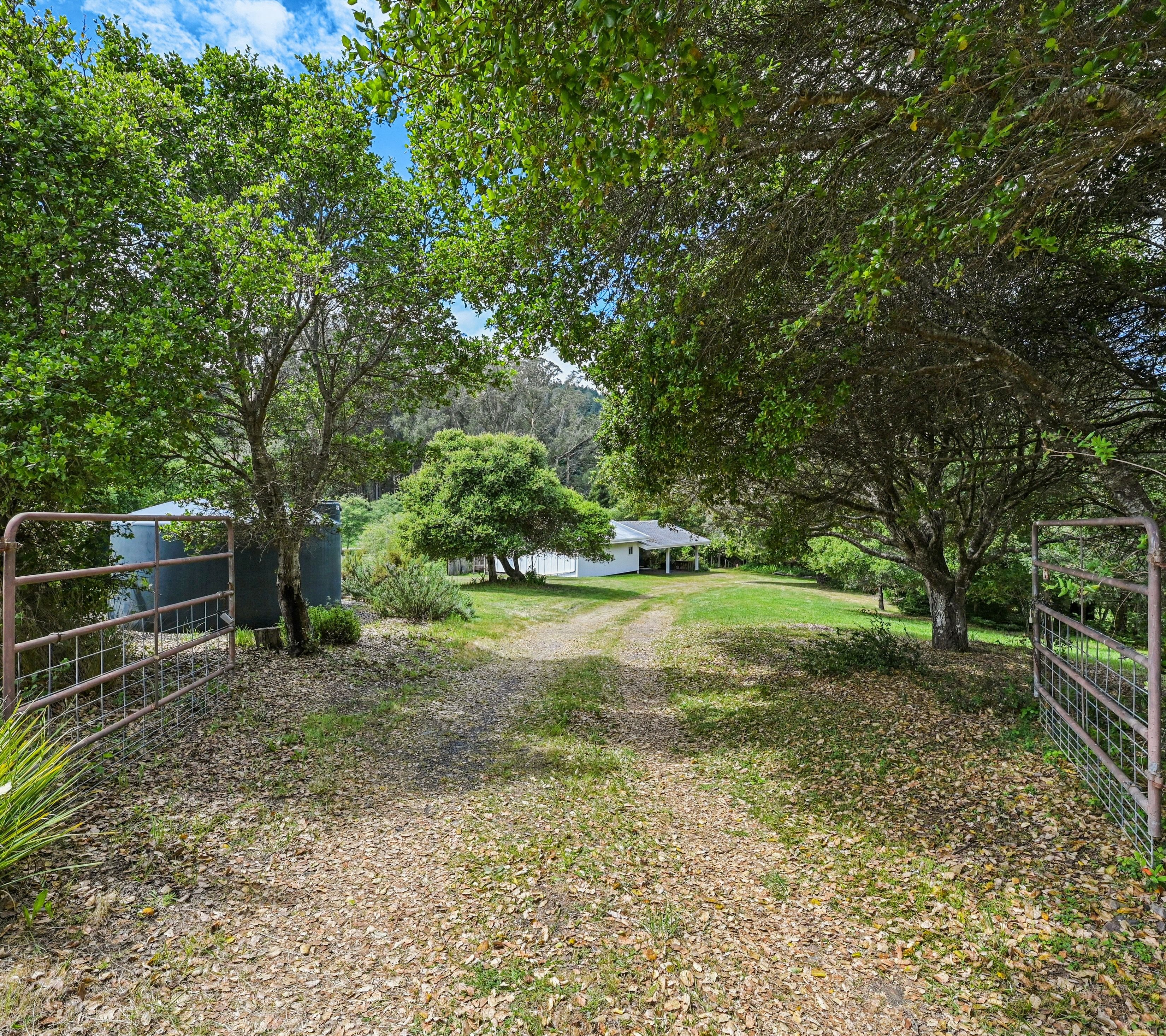  Dogtown Farmhouse - 物件實景