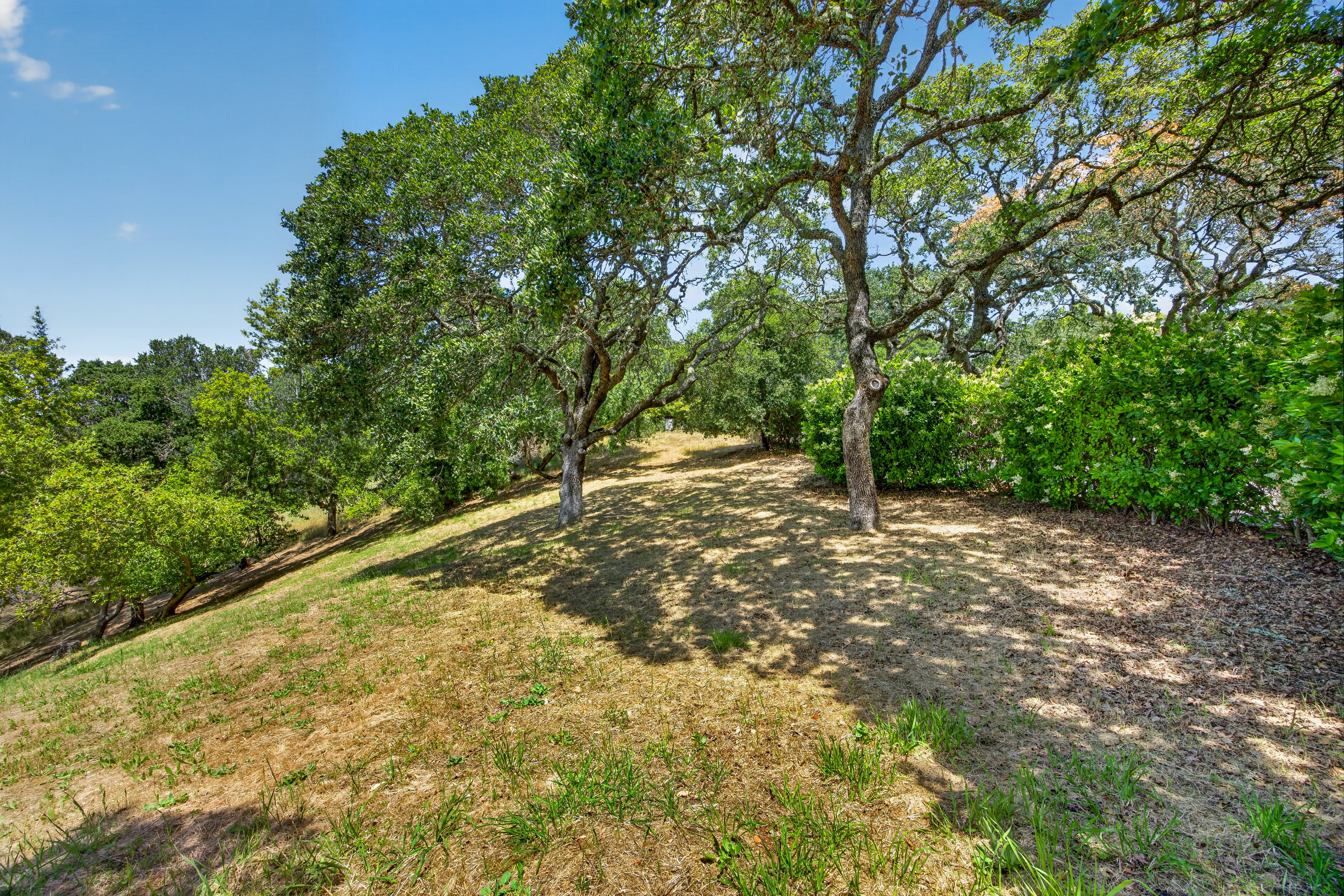  Grand Estate in Novato’s Prestigious Gated Lockton Lane - 物件實景