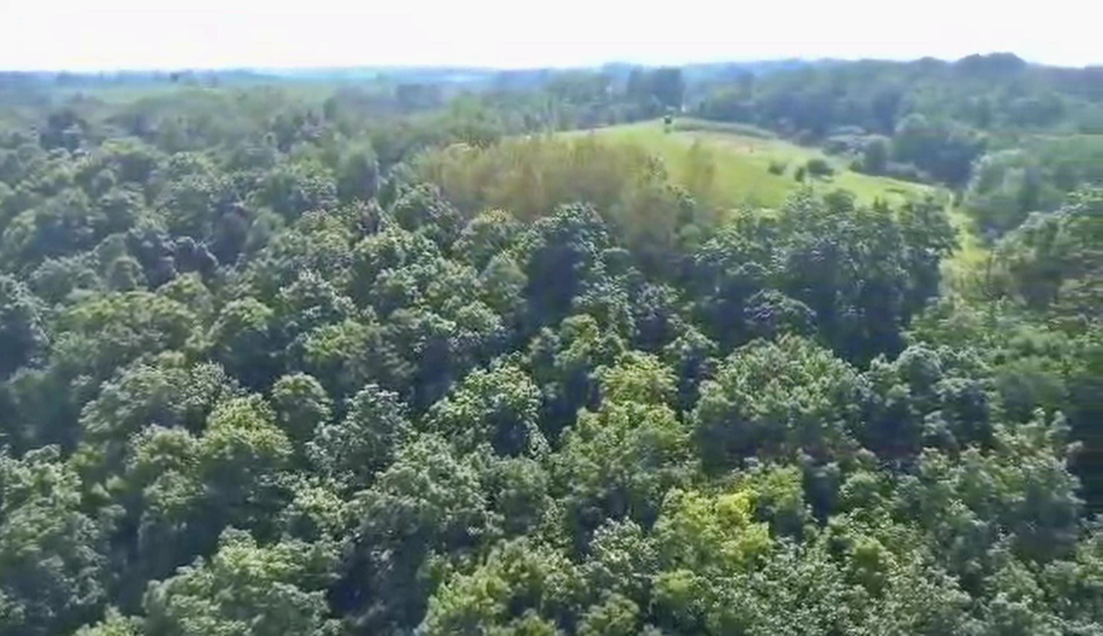 Gays Mills, Wisconsin, 54631, United States, ,Residential,For Sale,1928729