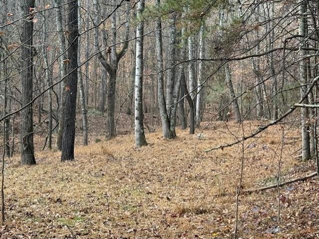 Talking Rock, Georgia, 30175, United States, ,Land,For Sale,1995157