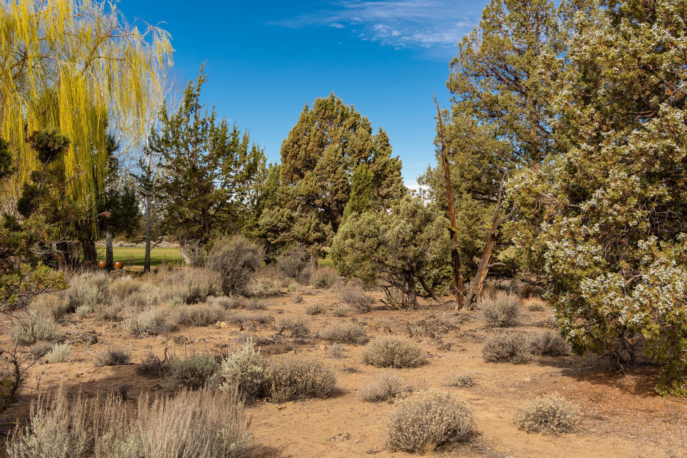  65833 Bearing Drive #Lot 130 Bend, OR 97701 - 物件實景