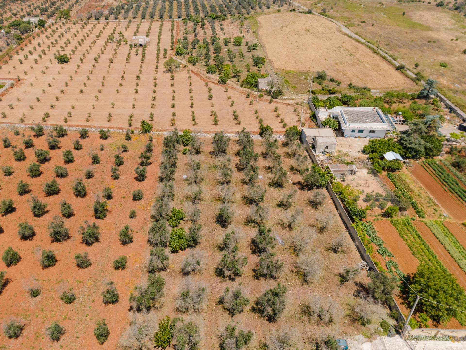 Ruffano, Lecce, 73049, IT, 4 Bedrooms Bedrooms, ,4 BathroomsBathrooms,Residential,For Sale,1892683