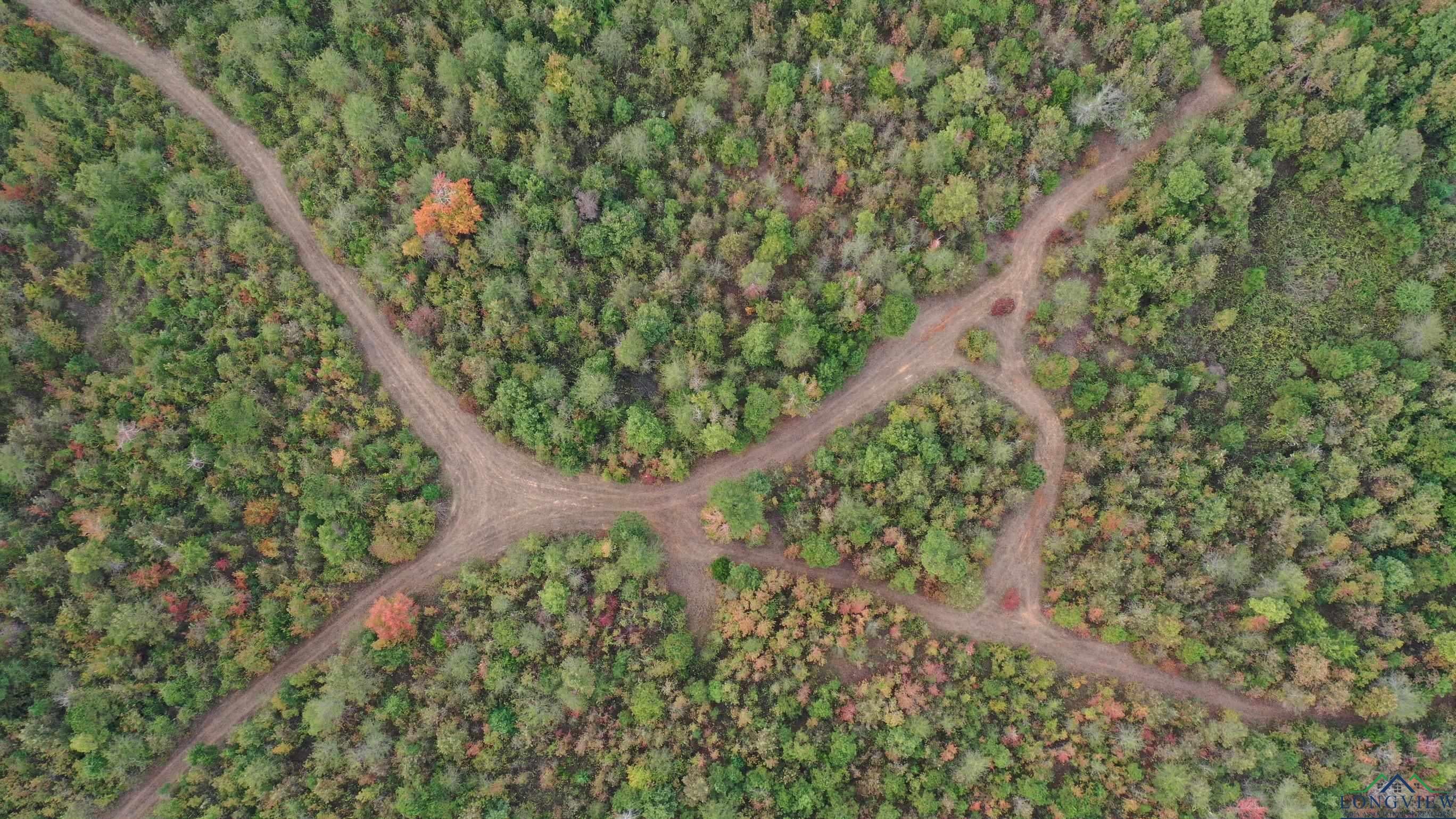 Marietta, Texas, 75566, United States, ,Land,For Sale,1977958