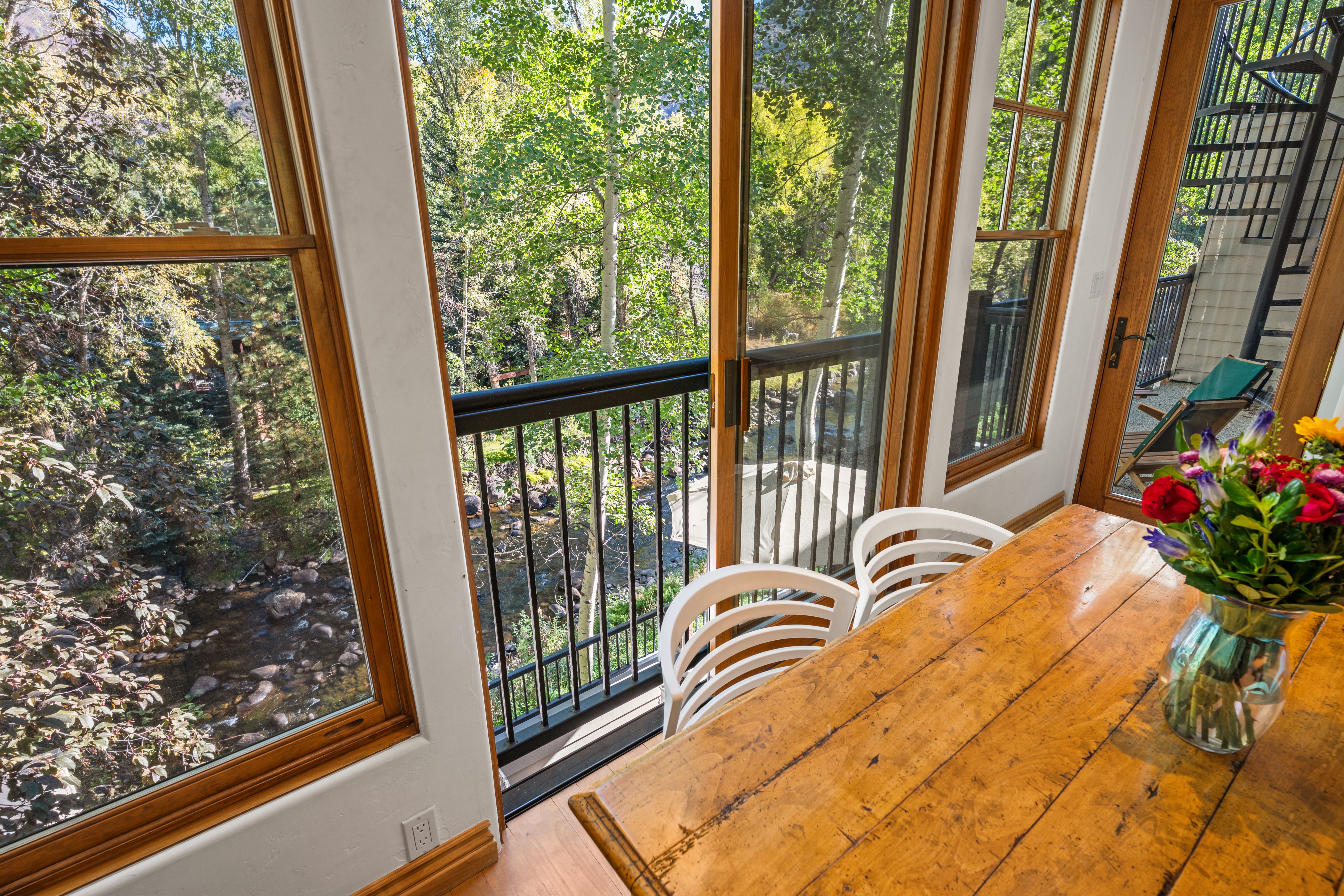  960 E Hopkins Avenue, Aspen, CO, 81611 - 物件實景