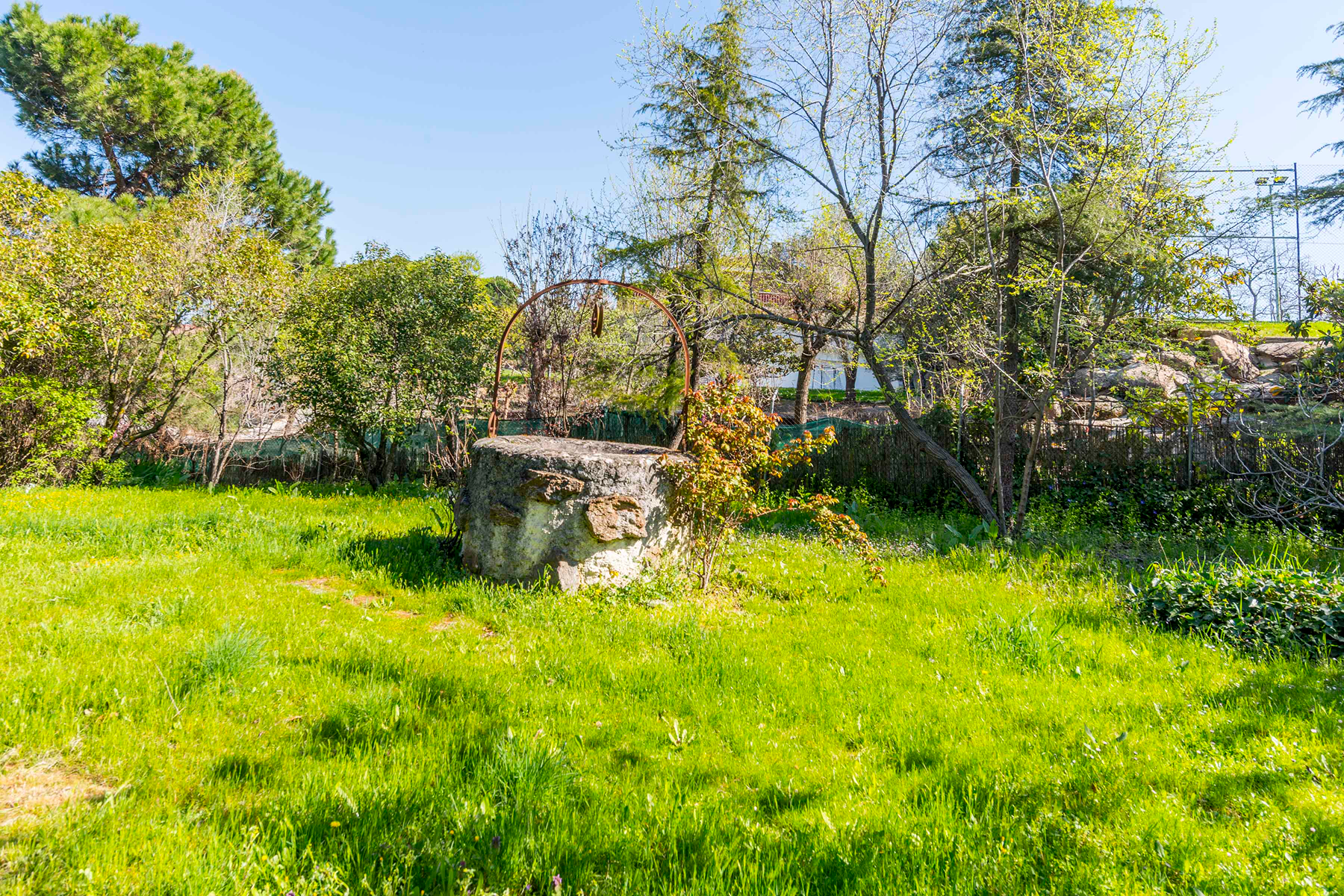  Wonderful hectare plot in La Moraleja - 物件實景