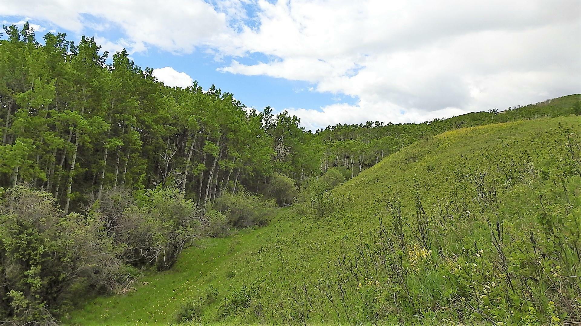 RURAL FOOTHILLS COUNTY, Alberta, T1S 4A9, CA, 3 Bedrooms Bedrooms, ,5 BathroomsBathrooms,Residential,For Sale,1838193