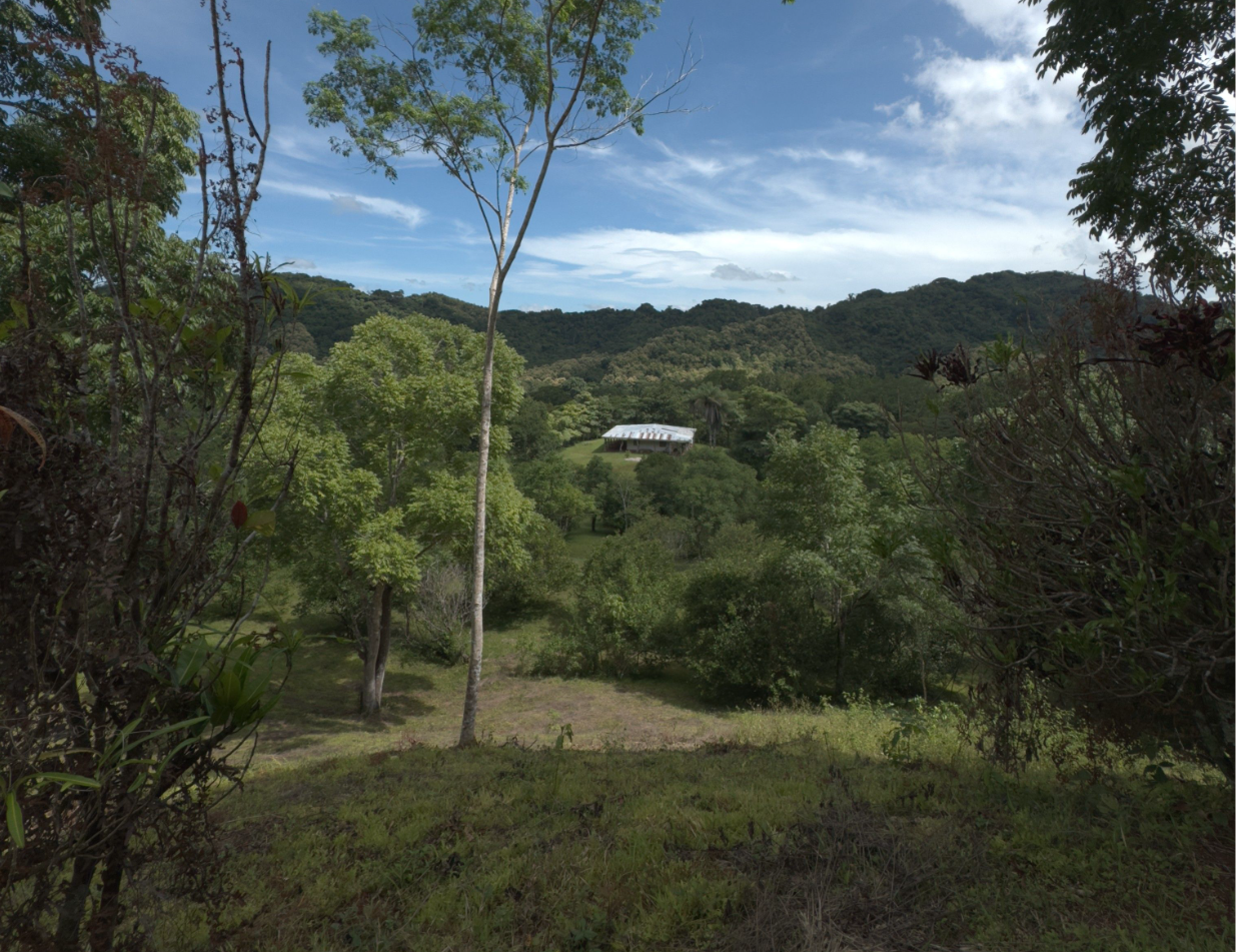 Playa Coyote, Guanacaste, CR, ,Land,For Sale,1949754