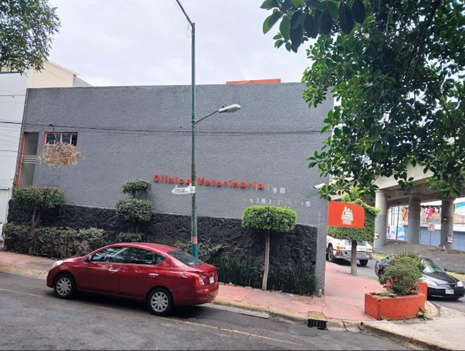 Coyoacán, Ciudad de México, 04200, Mexico, 4 Bedrooms Bedrooms, ,2 BathroomsBathrooms,Residential,For Sale,1916889