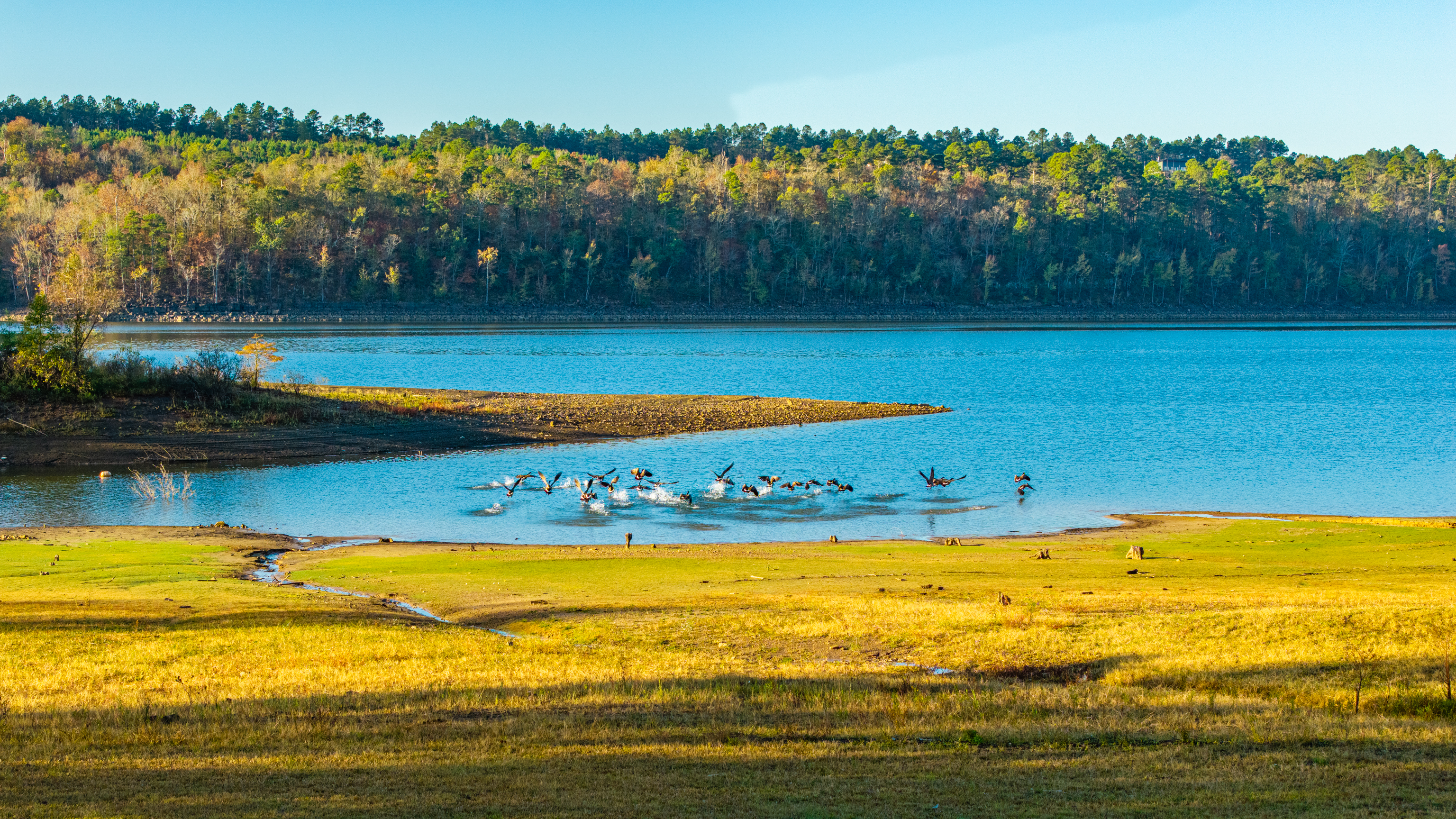 Kirby, Arkansas, 71950, United States, 4 Bedrooms Bedrooms, ,3 BathroomsBathrooms,Residential,For Sale,1986539
