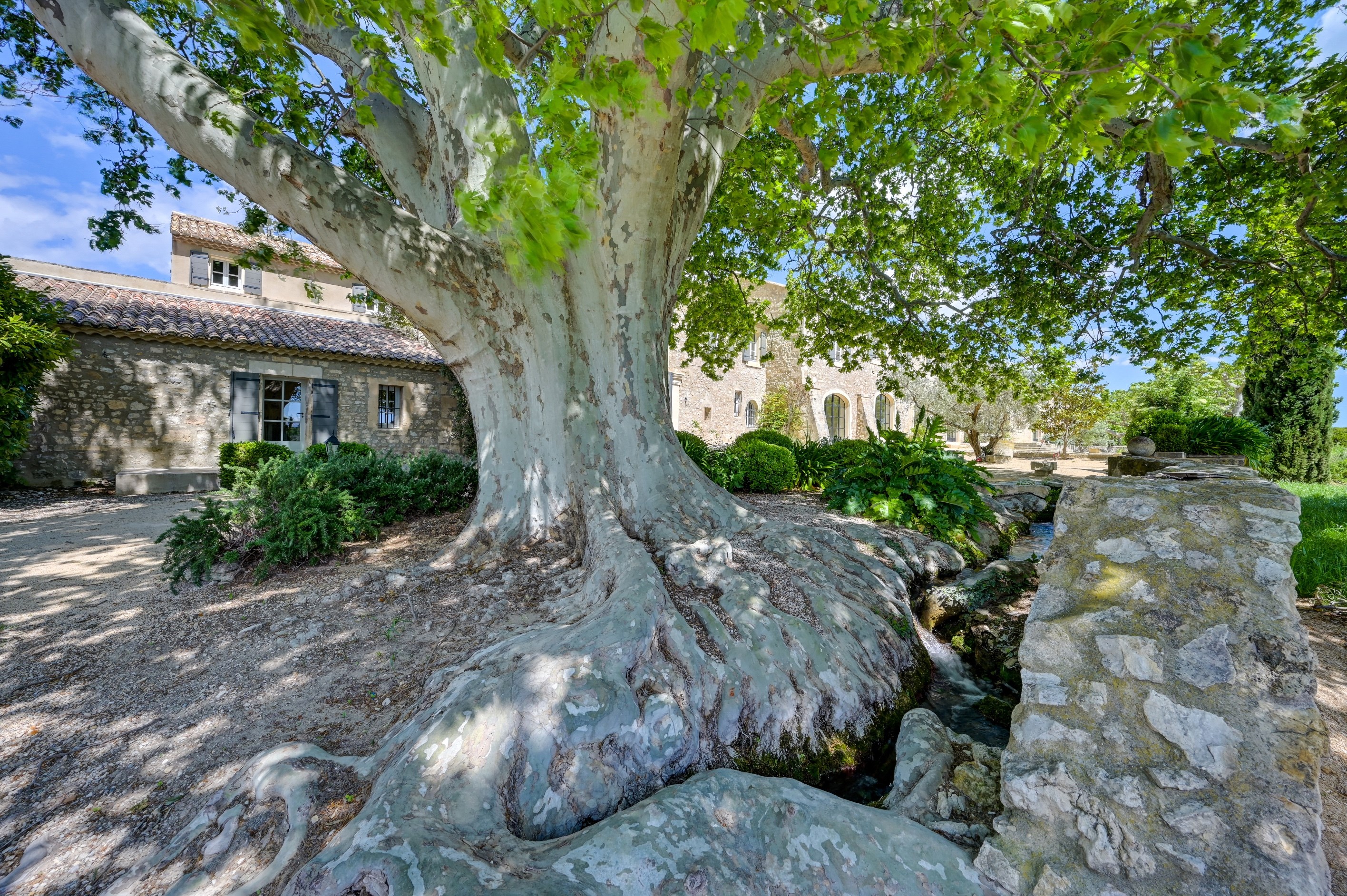  Exceptional Property in the Heart of the Alpilles - 物件實景