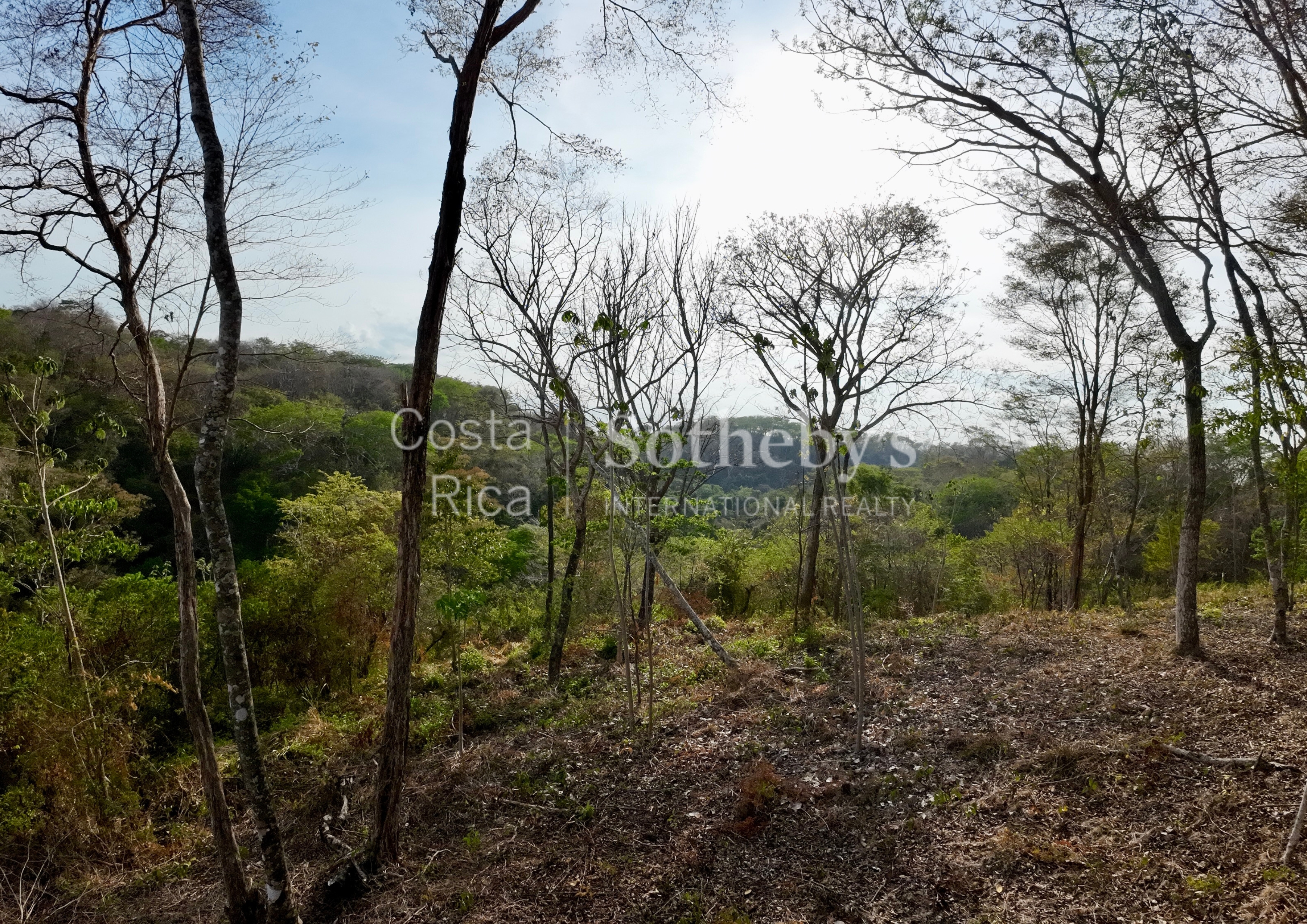  Idyllic Ocean View Lot in the Hills of Hermosa - 物件實景