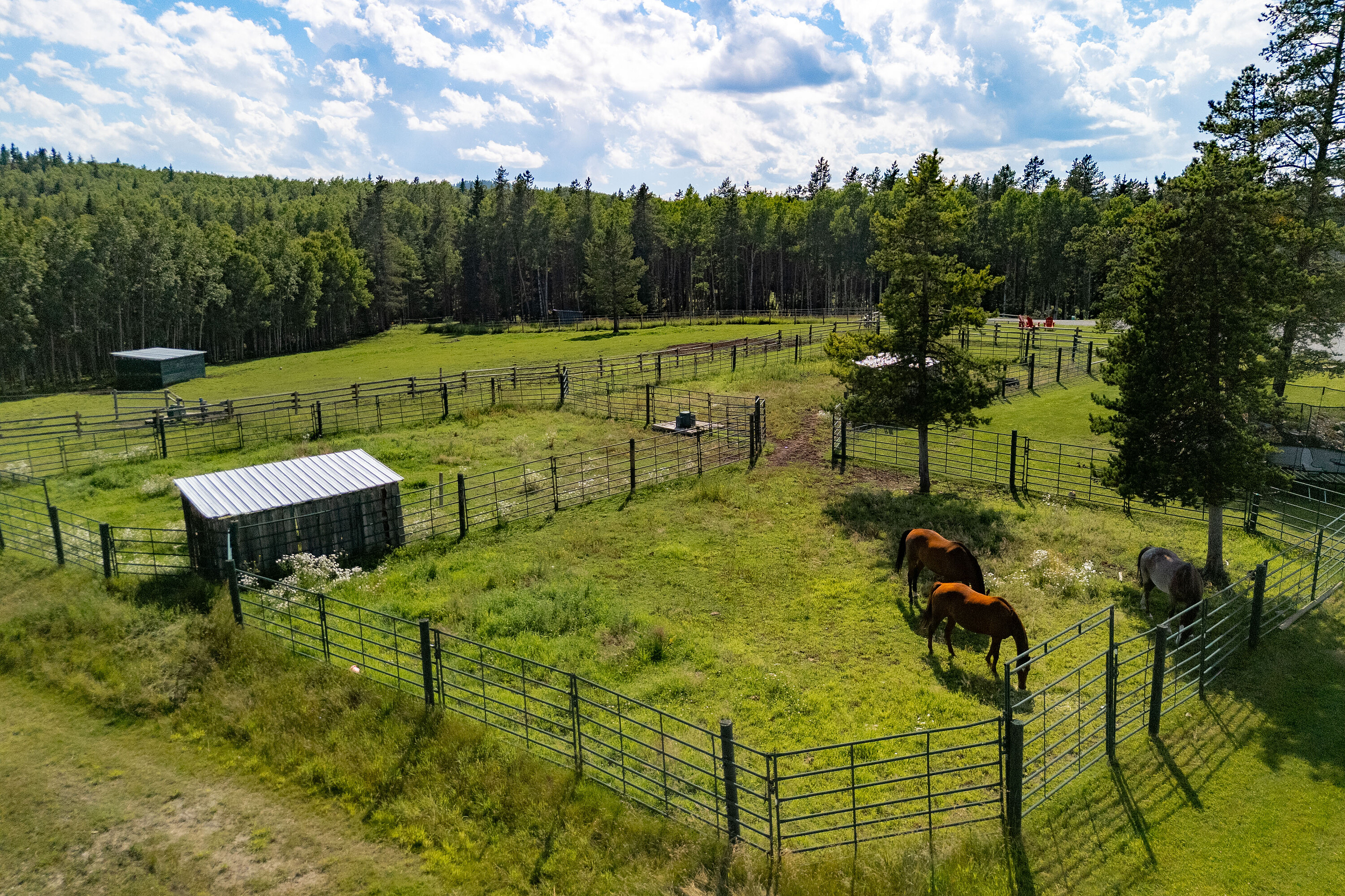  Rural Foothills County, Calgary and Foothills - 物件實景