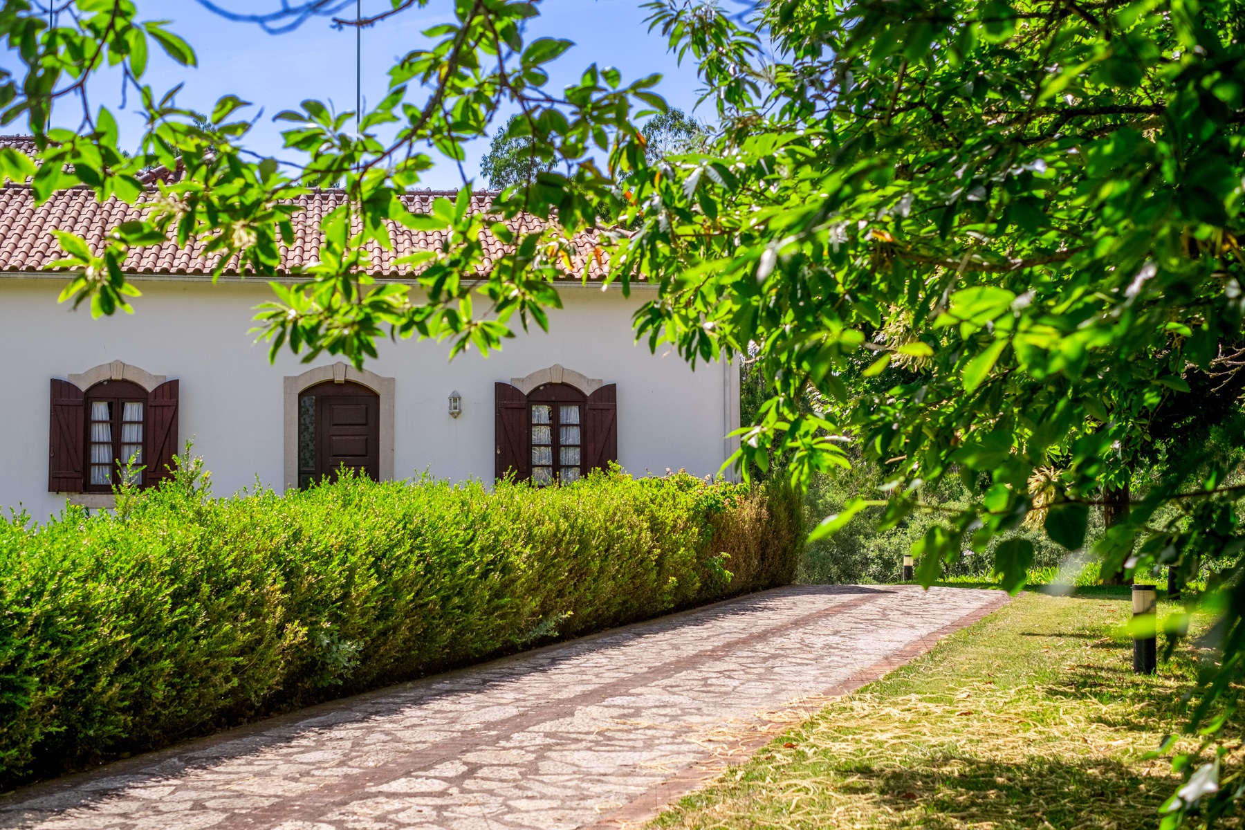  Country Estate, 15 bedrooms, for Sale - 物件實景