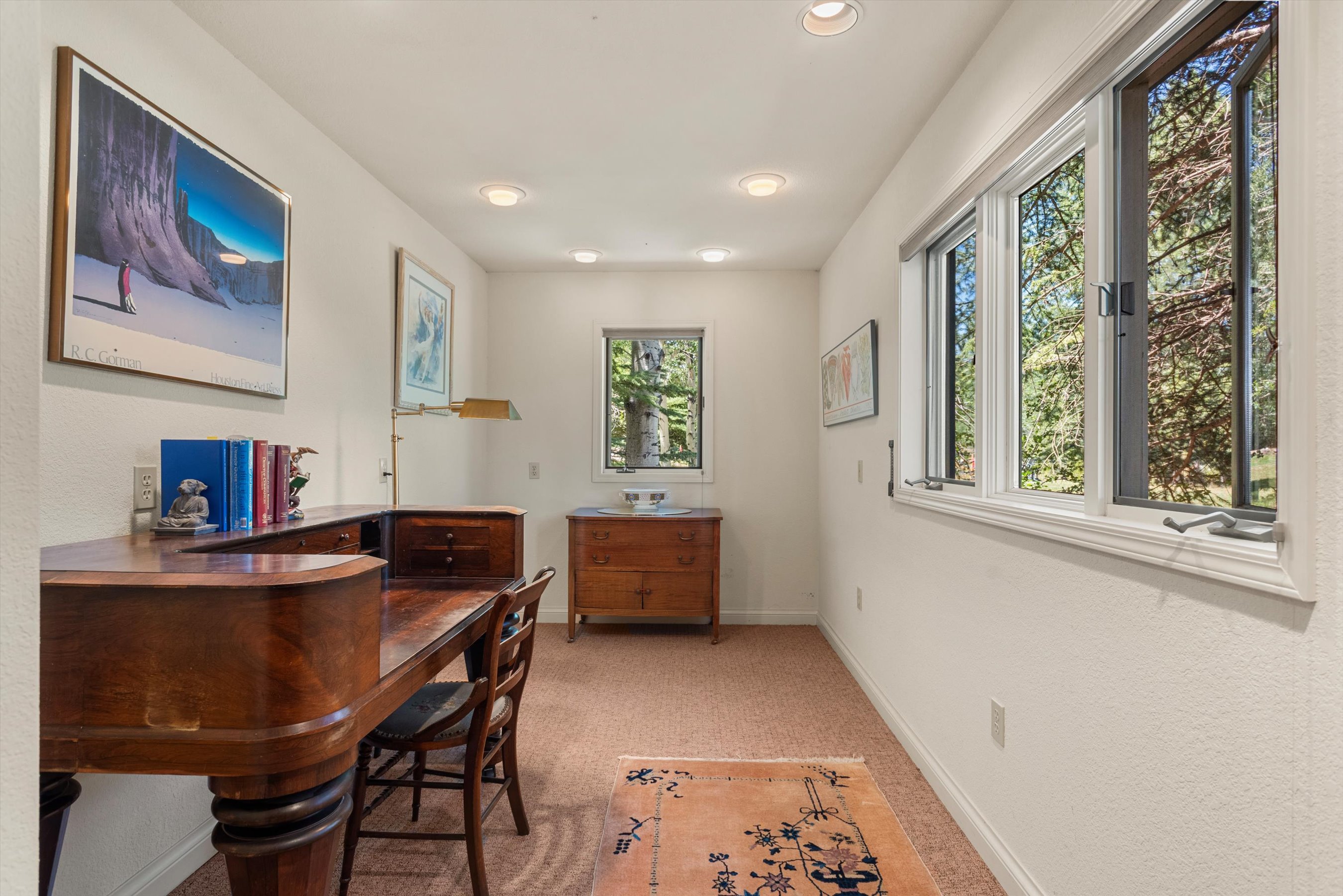 47 Davidson Lane, Snowmass, CO, 81654 - 物件實景