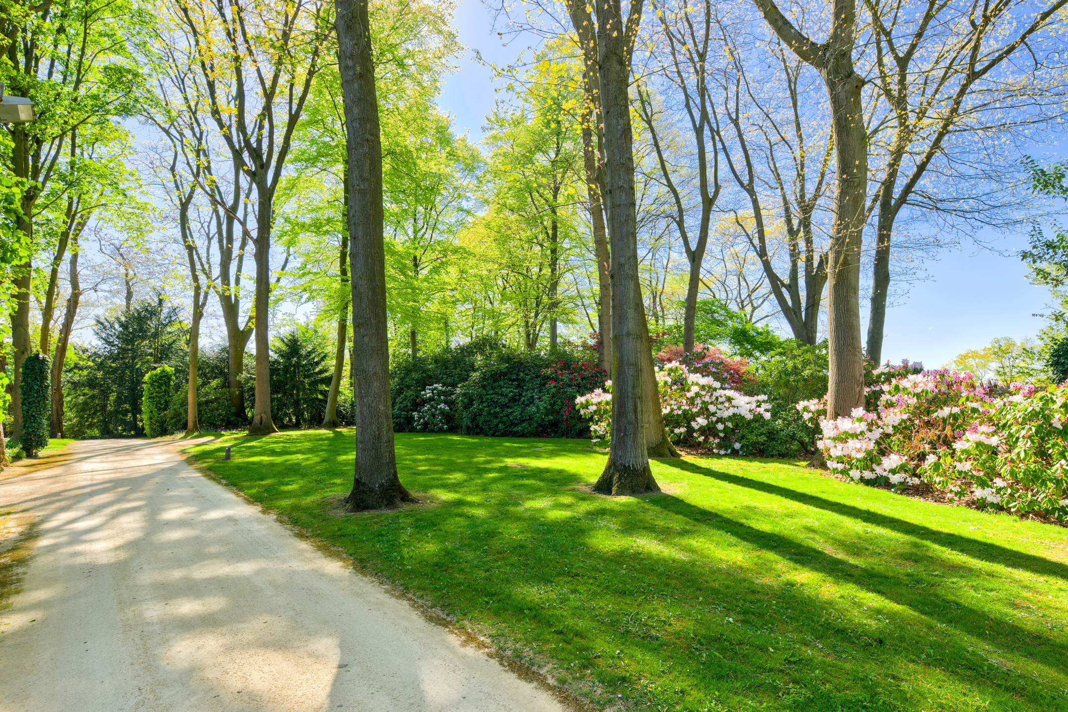  Brabant Wallon I Lasne - 物件實景