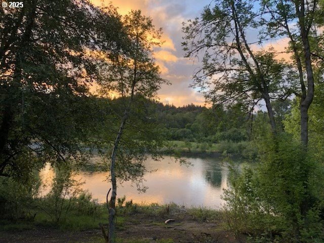 Brookings, Oregon, 97415, United States, 1 Bedroom Bedrooms, ,1 BathroomBathrooms,Residential,For Sale,1979383