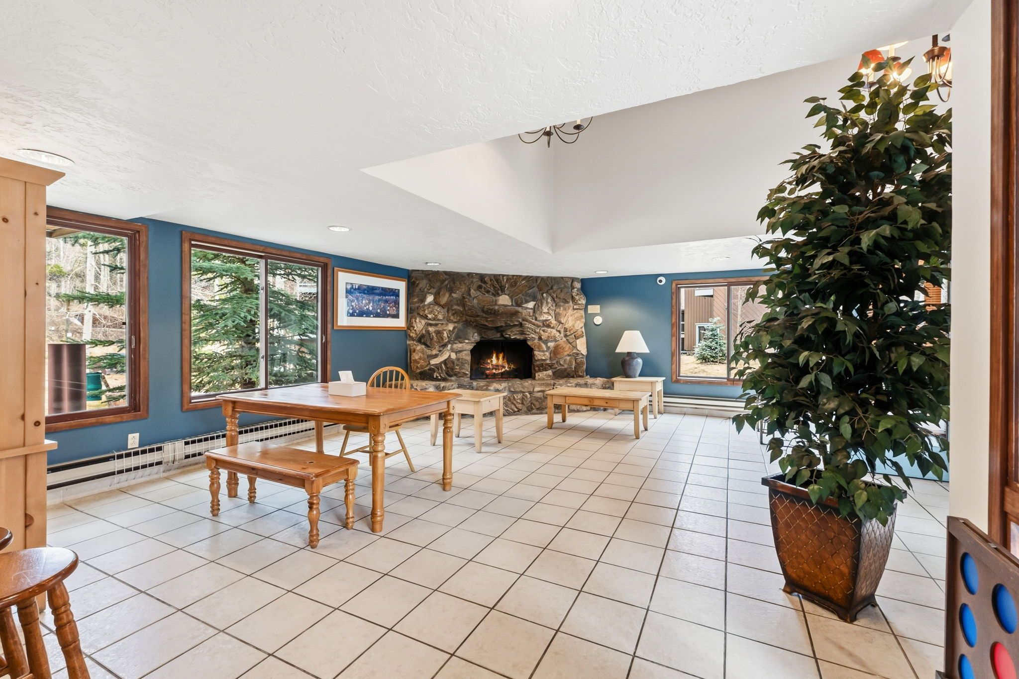  423 Wild Irishman Road, Dillon, CO, 80435 - 物件實景