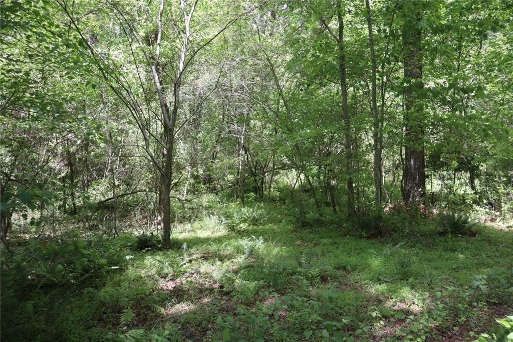 Ellijay, Georgia, 30540, United States, ,Residential,For Sale,1881390