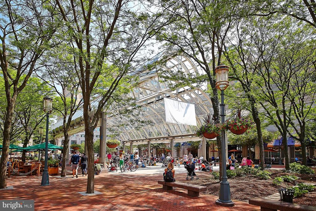 Reston, Virginia, 20194, United States, 3 Bedrooms Bedrooms, ,4 BathroomsBathrooms,Residential,For Sale,1942632