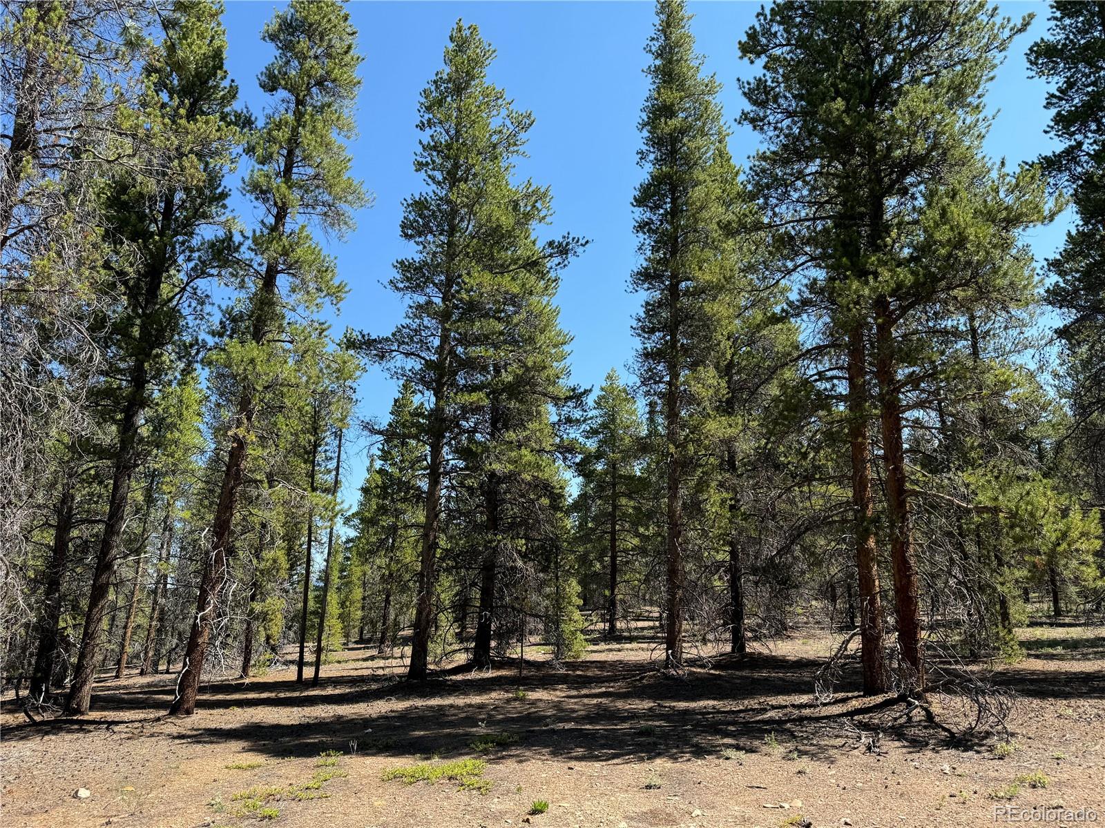 Leadville, Colorado, 80461, United States, ,Land,For Sale,1978663