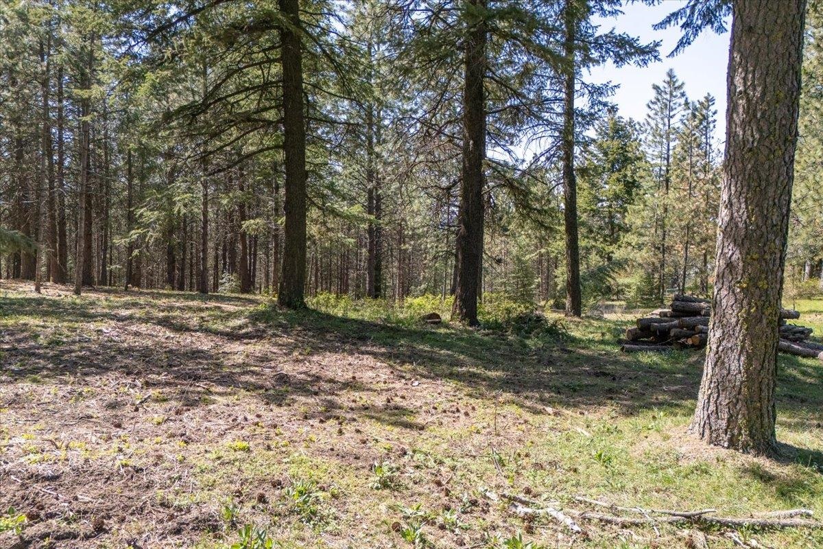 Spokane, Washington, 99223, United States, ,Land,For Sale,1795028