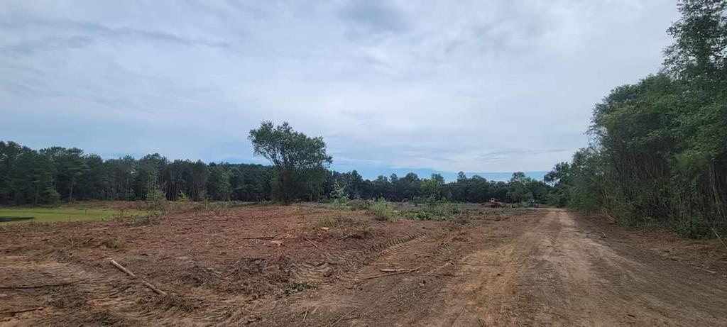 Sumter, South Carolina, 29153, United States, ,Land,For Sale,1982950