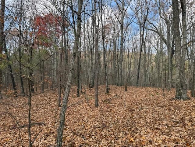 Talking Rock, Georgia, 30175, United States, ,Land,For Sale,1995157