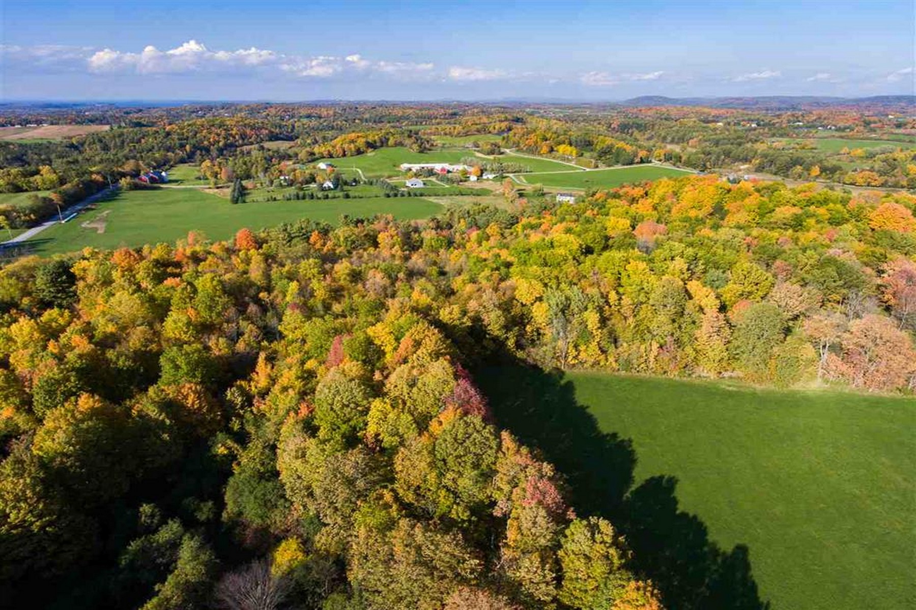  1555 Spear Street - 物件實景