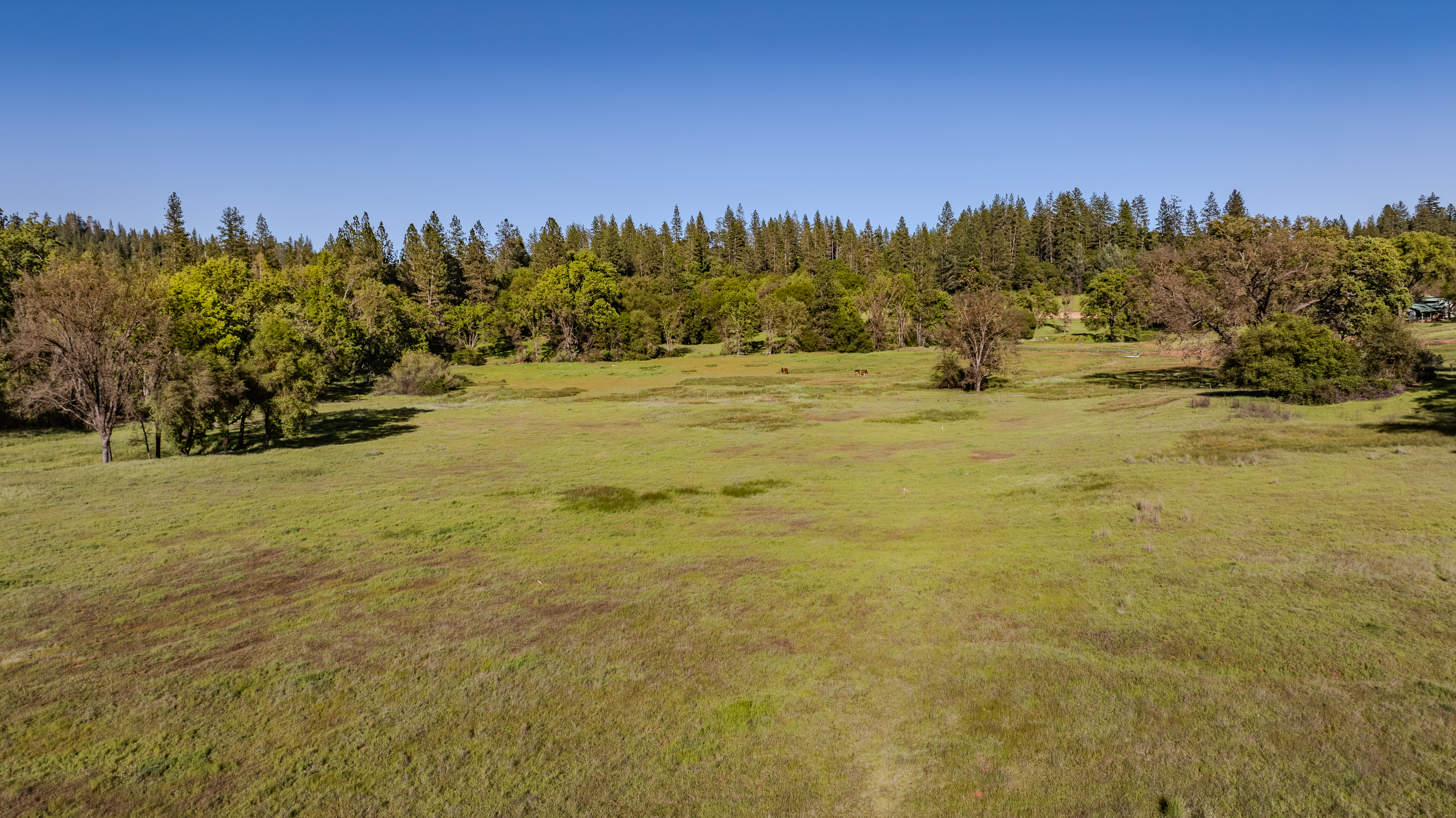  40 Acres - Fully Wheelchair Accessible - Indoor Pool - 物件實景